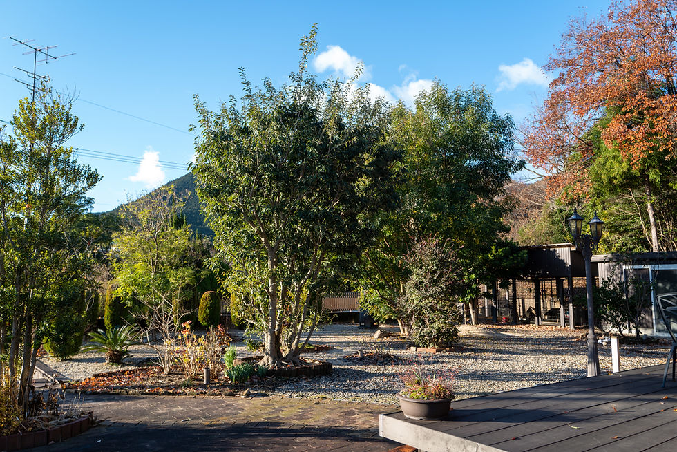三重県菰野町にてお庭お手入れ