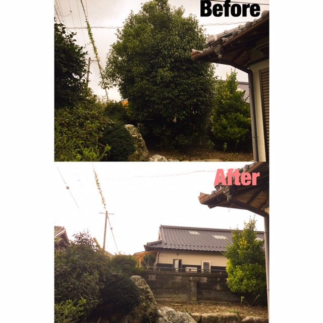 鈴鹿市庭木伐採|庭木の伐採作業