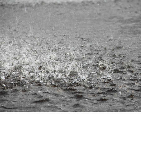 三重県の豪雨と雨庭（レインガーデン）の可能性-グリーンインフラとしての治水対策を考える