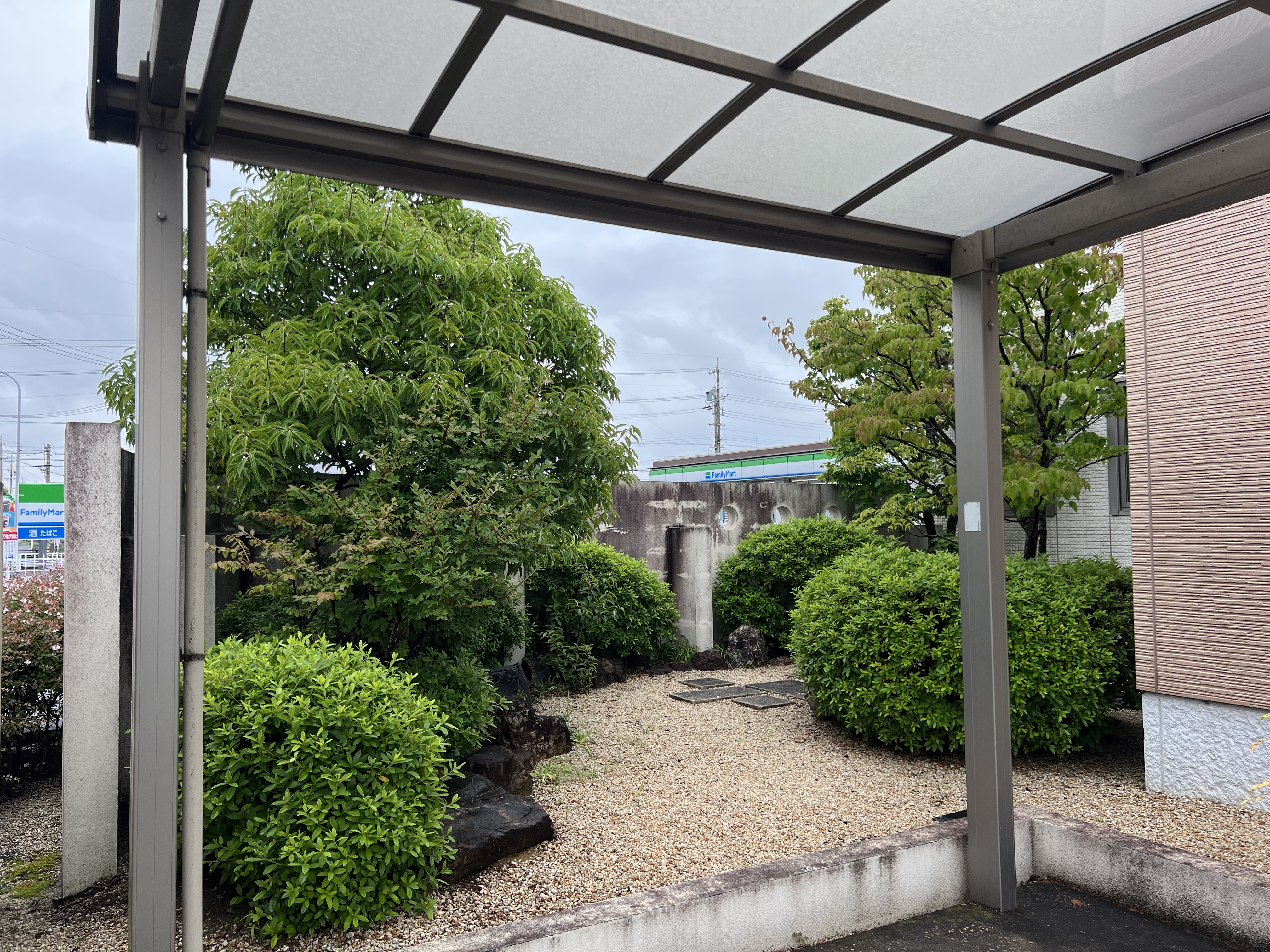 さくらじま内科様 松と刈り込み樹木、駐車場側の全景