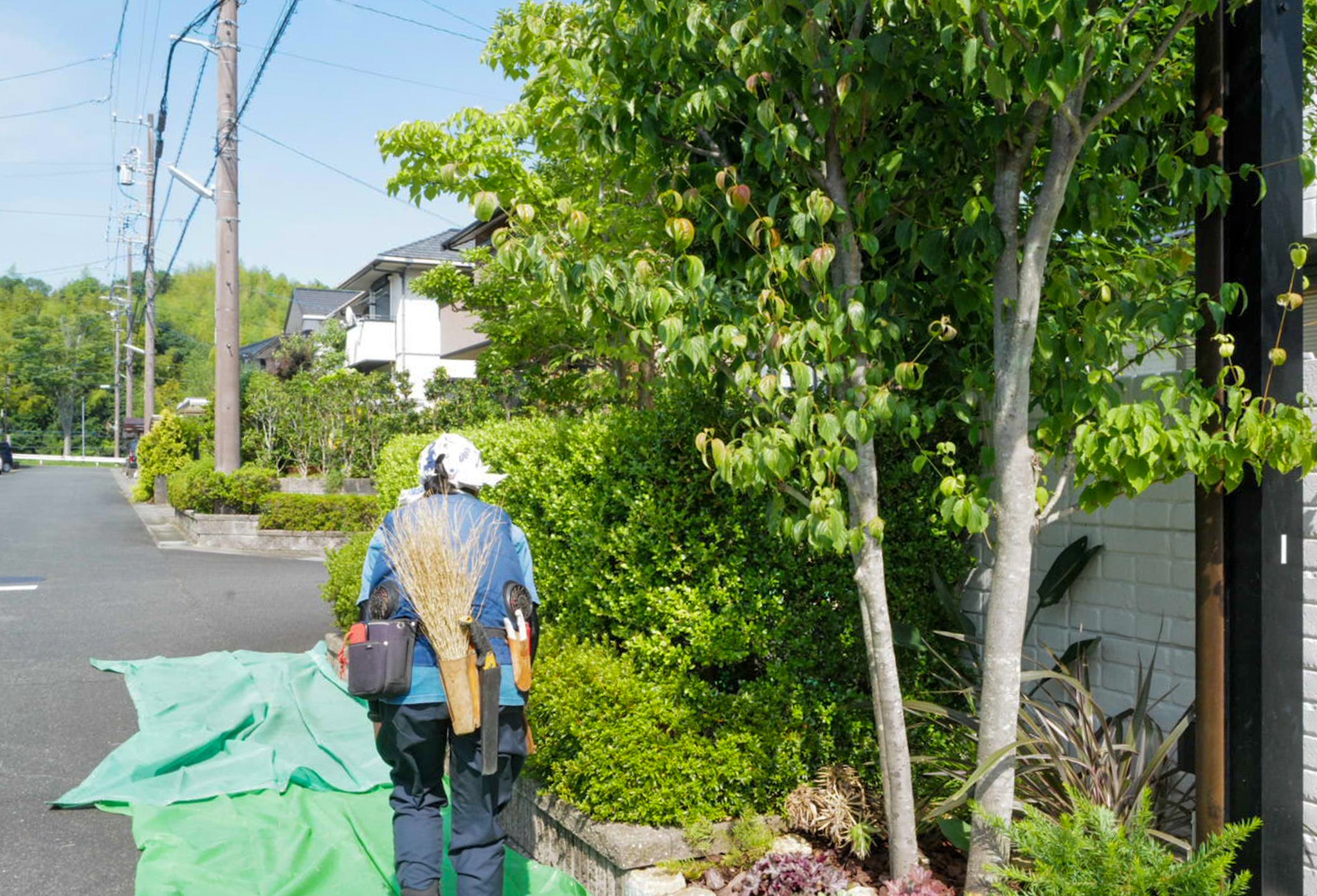 道路沿いの庭木剪定と集草 剪定屋空