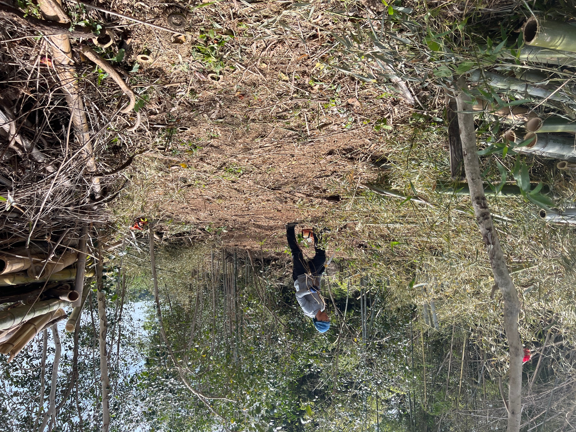 三重県鈴鹿市 淡竹 竹切り株地際切り直し 剪定屋空