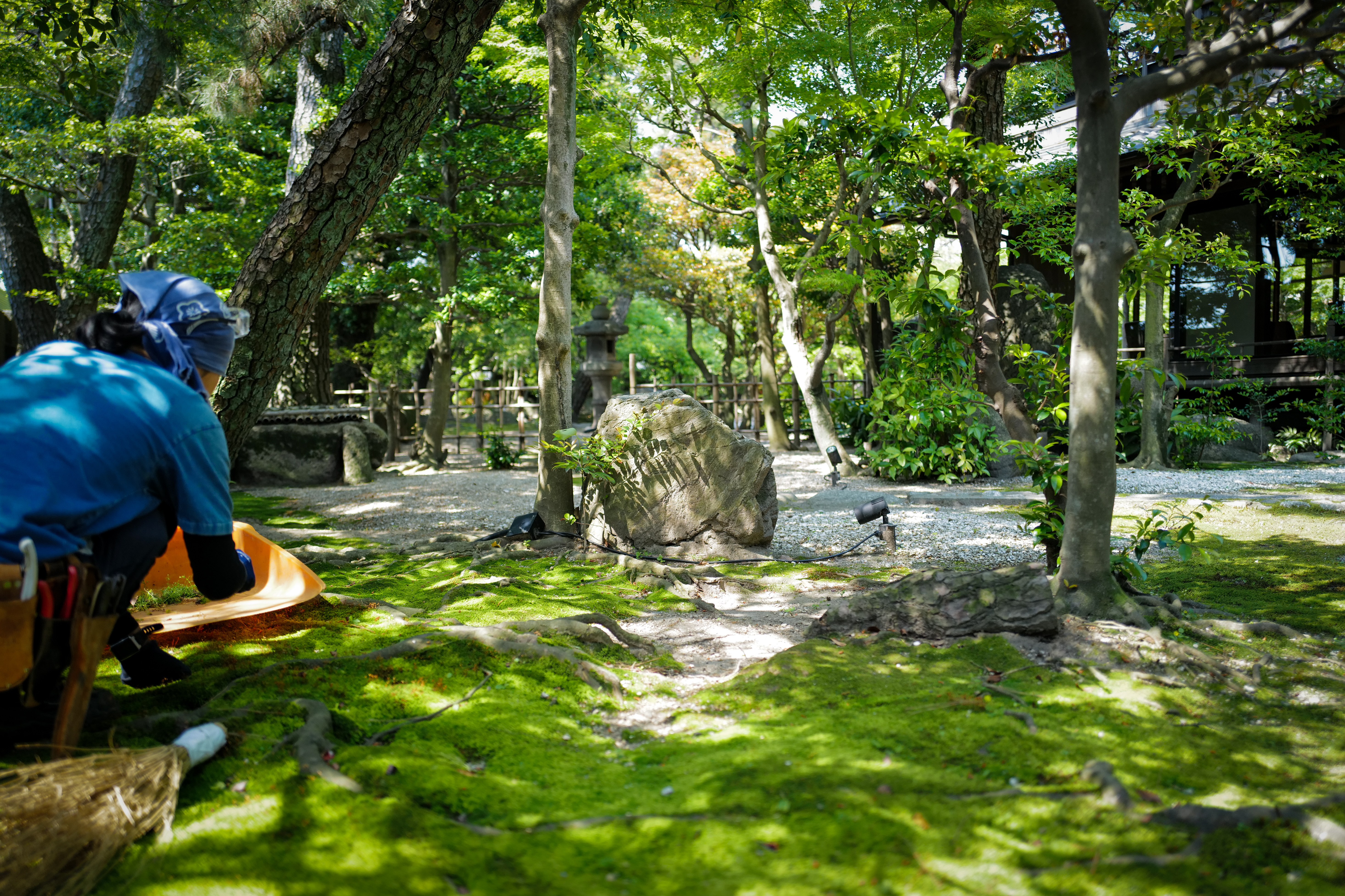 緑の苔が一面に広がる尾上別荘の庭園全景。石灯籠と樹木が美しく配置されている