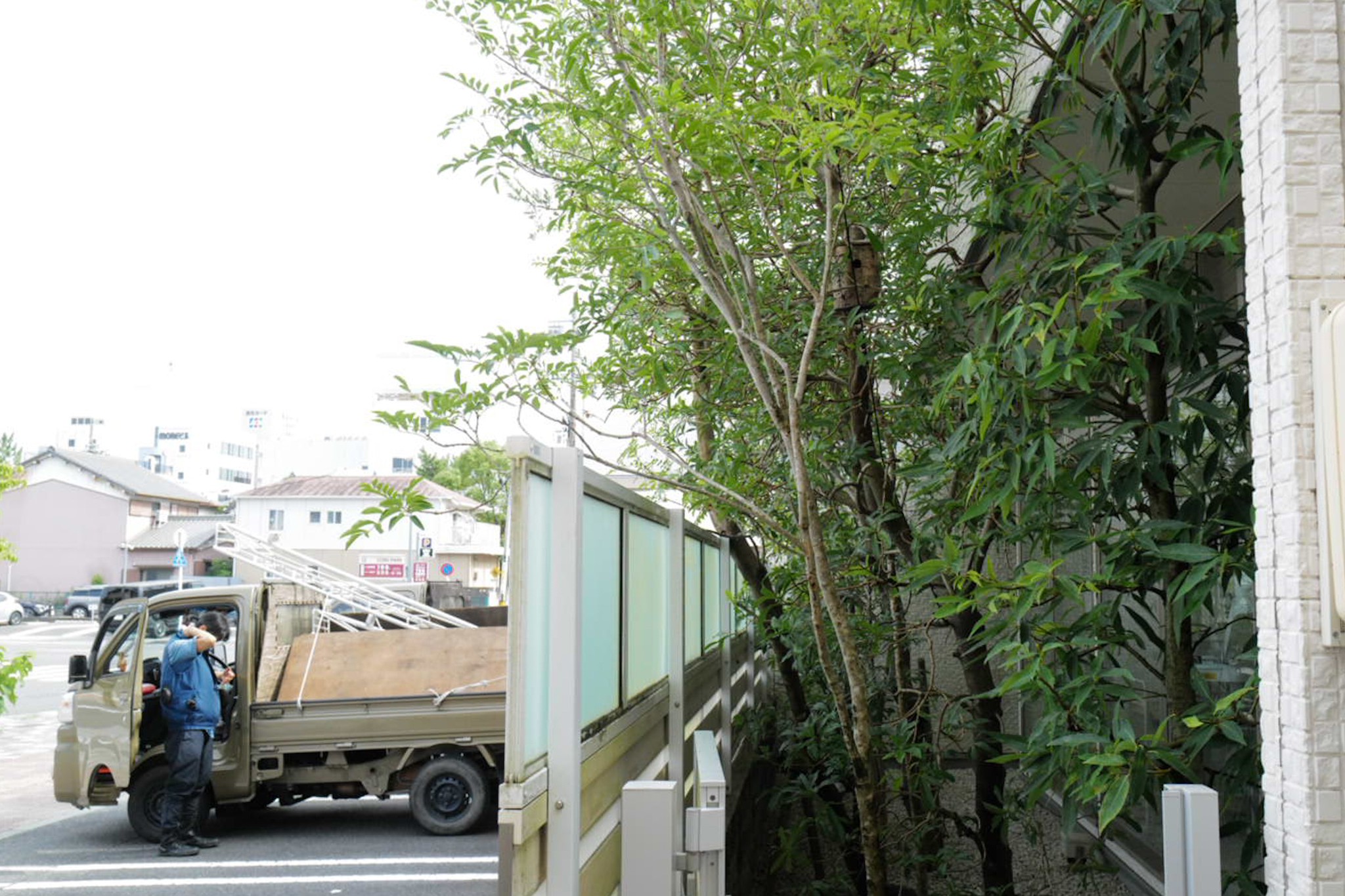 津市 矯正歯科 駐車場と樹木 搬出 剪定屋空