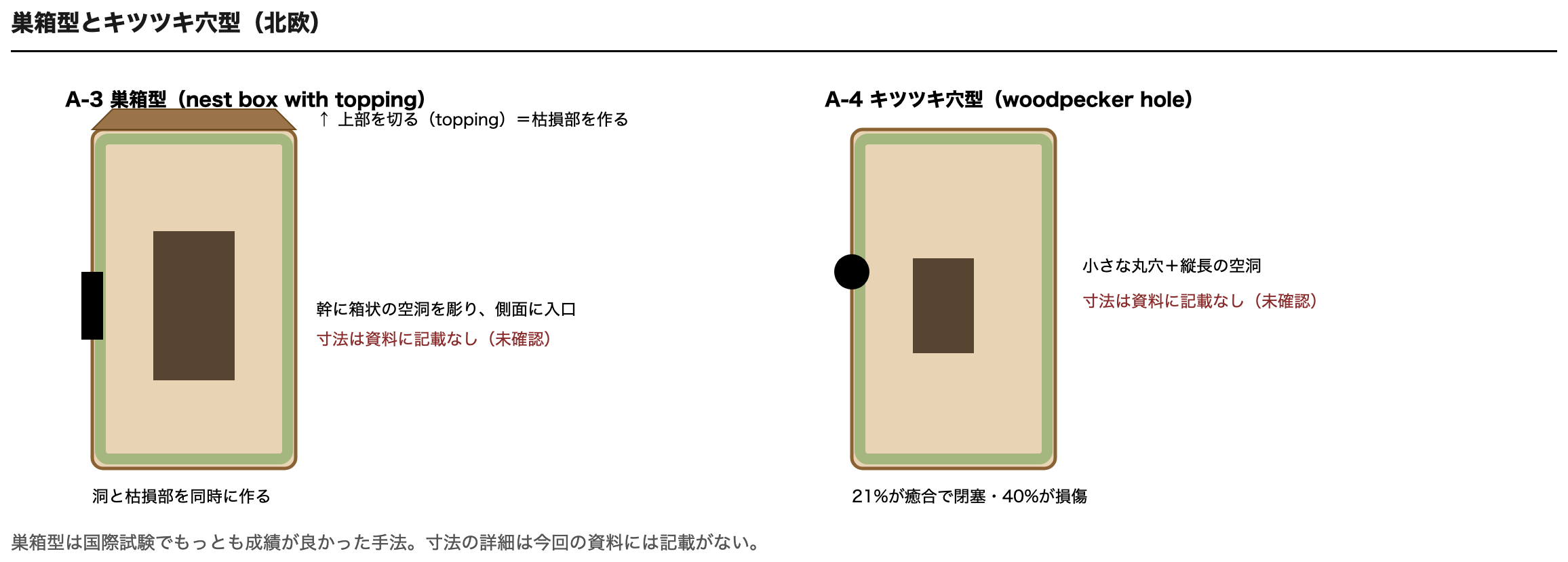 巣箱型とキツツキ穴型の模式図