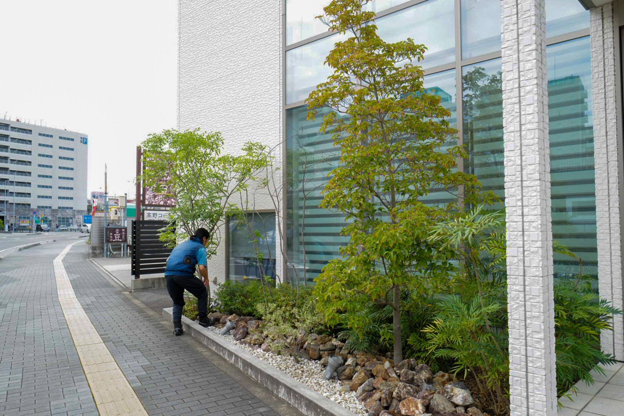 津市 矯正歯科 道路沿いの入口植栽 仕上げ 剪定屋空