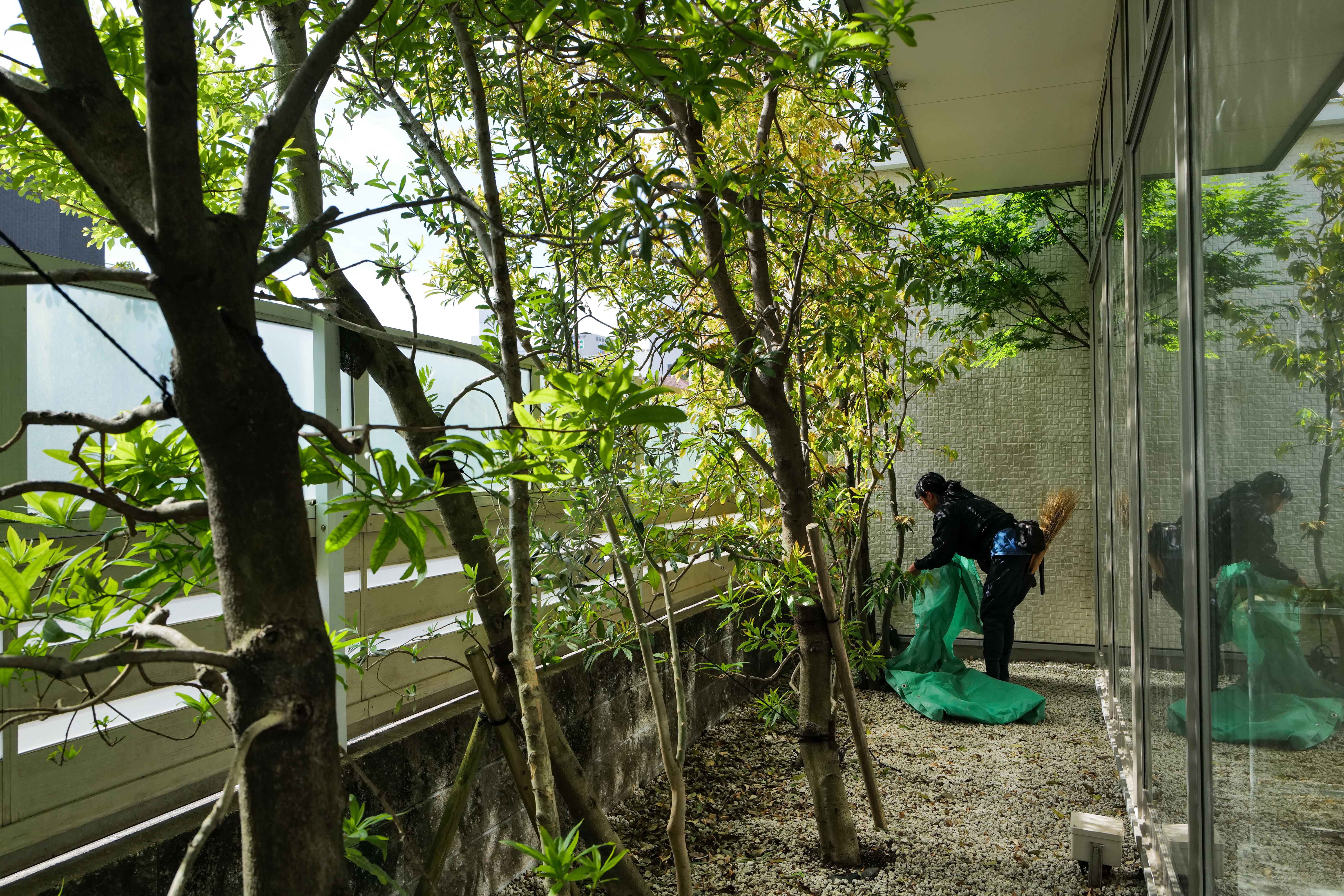 津のまち矯正歯科様 緑地の軽剪定作業