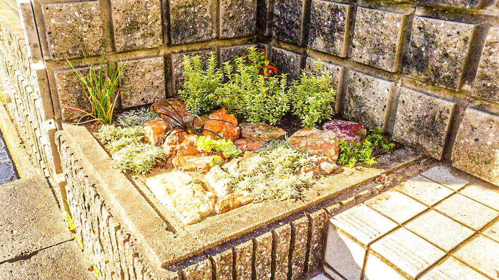 四日市植栽 花壇植栽とソヨゴ植栽作業