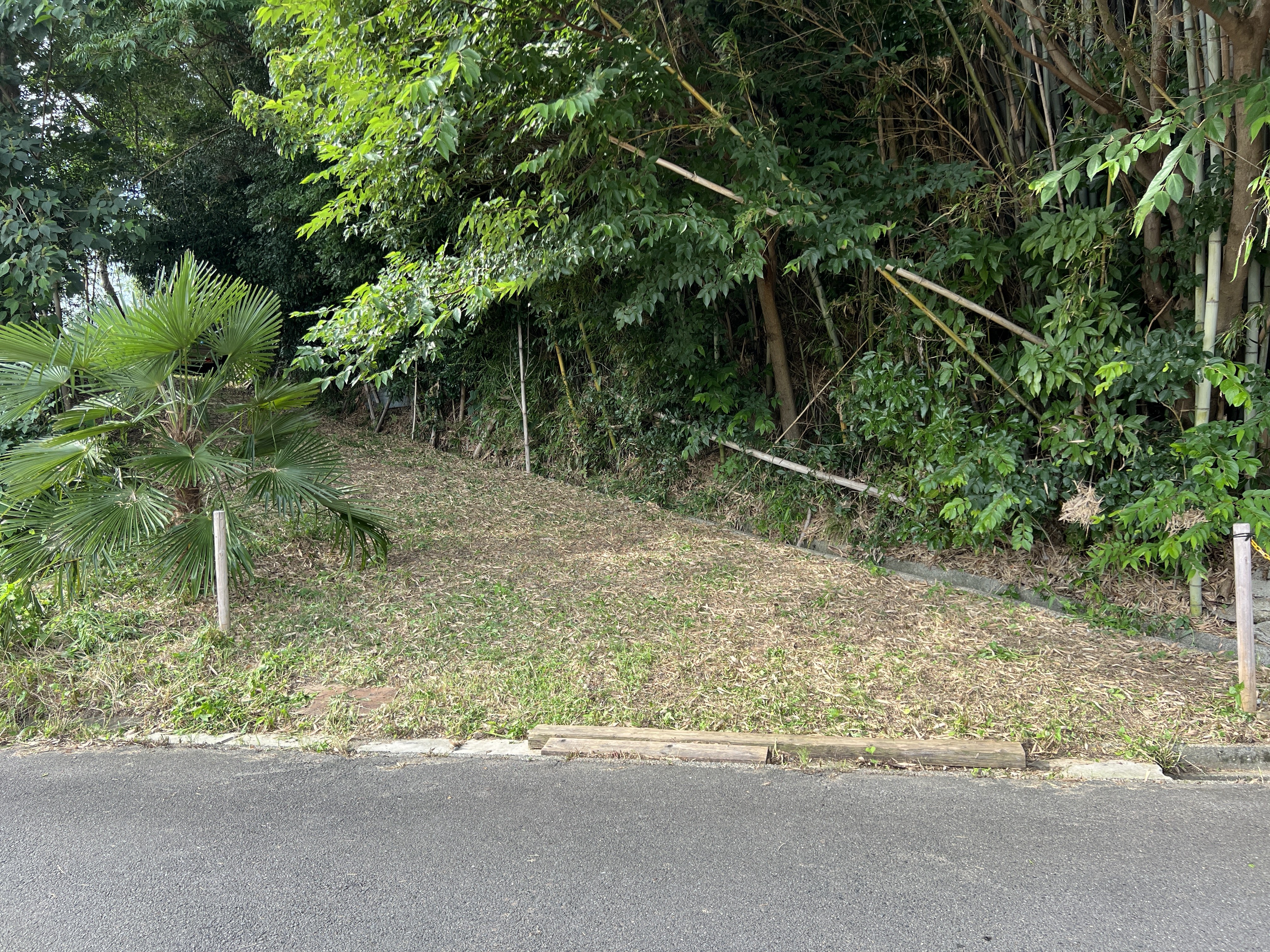 鈴鹿市 淡竹 竹林 整備後の法面 剪定屋空