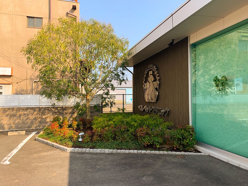 ベルペットクリニック