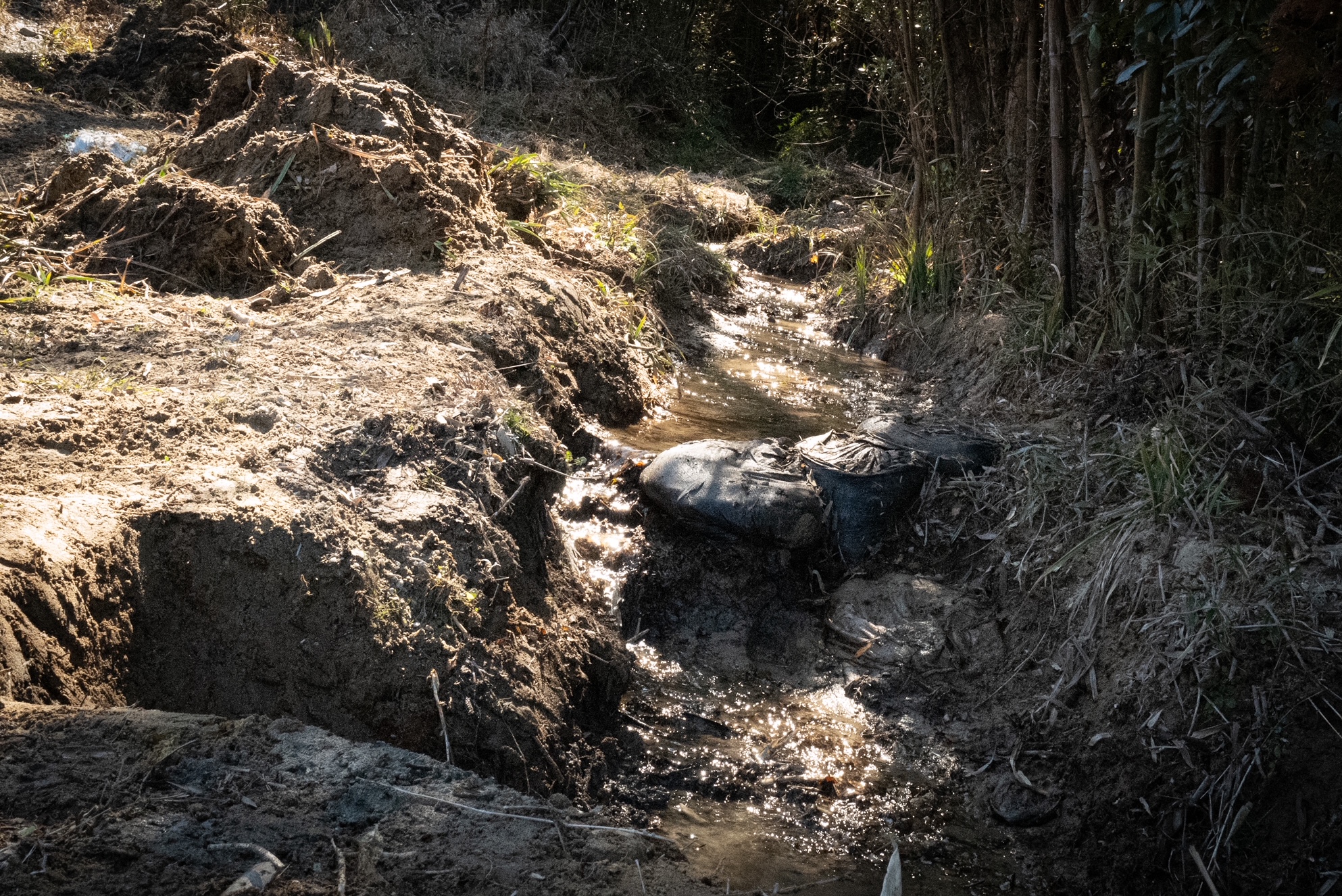 Biotope management along restored stream in Mie Prefecture — Sentei-ya Sora