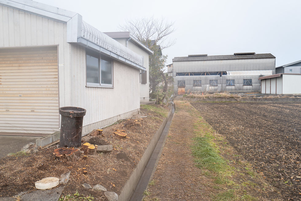 三重県東員町 伐採
