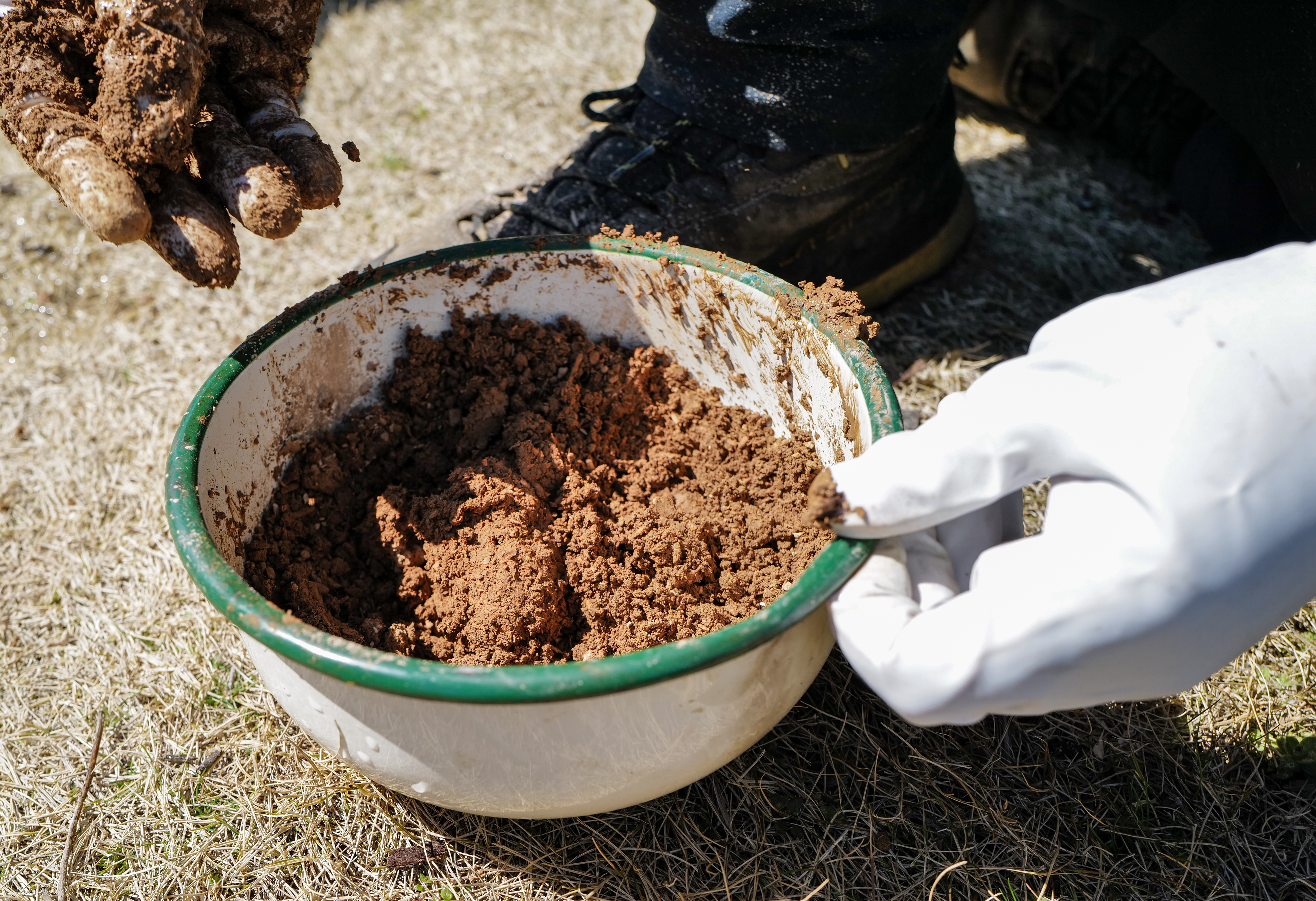 Garden Maintenance in Kuwana — Weeding a Traditional Garden, Turf Care, and Tree Repair