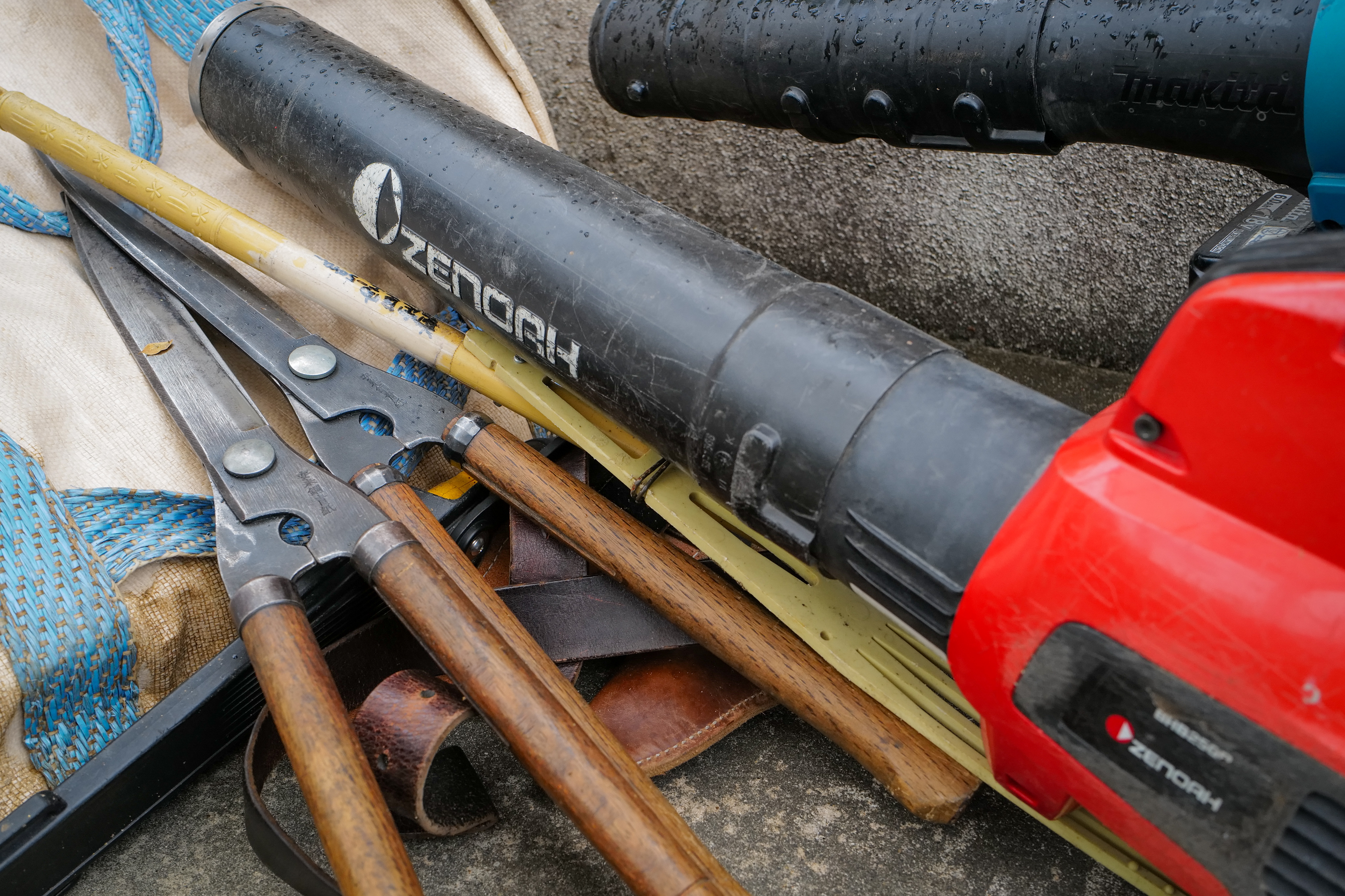 Pruning tools laid out — hedge shears, hand shears and blower for azalea maintenance