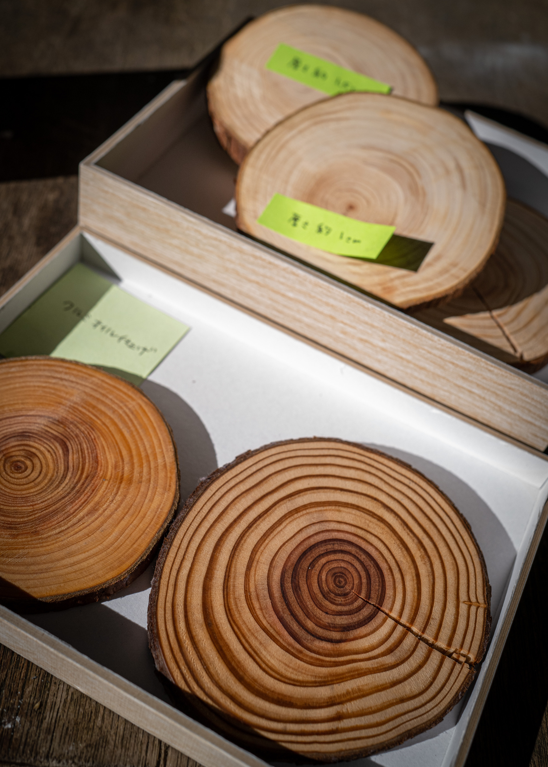 Production of Iga cypress escort coasters
