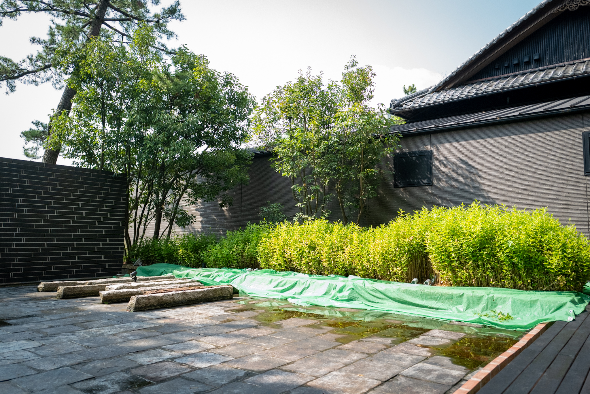 刈り込みを終えた笹の植栽帯と敷石、水路まわりの仕上がり