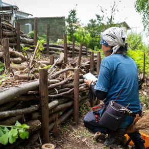 しがらの中に、生きものがわんさか。竹林の土に命を戻す仕事（三重県亀山市 法因寺様）