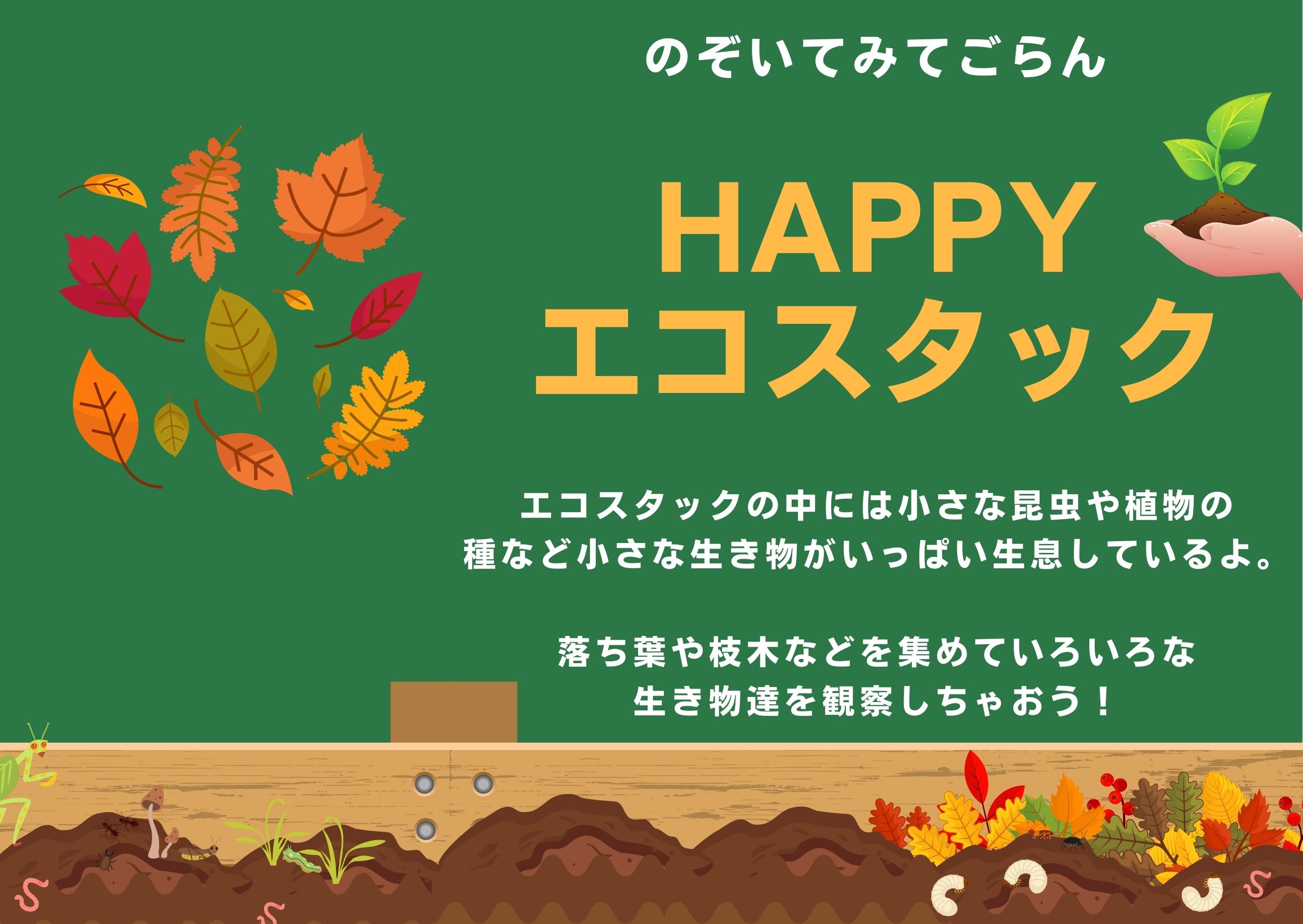 Take a peek and see the HAPPY ECO STACK!