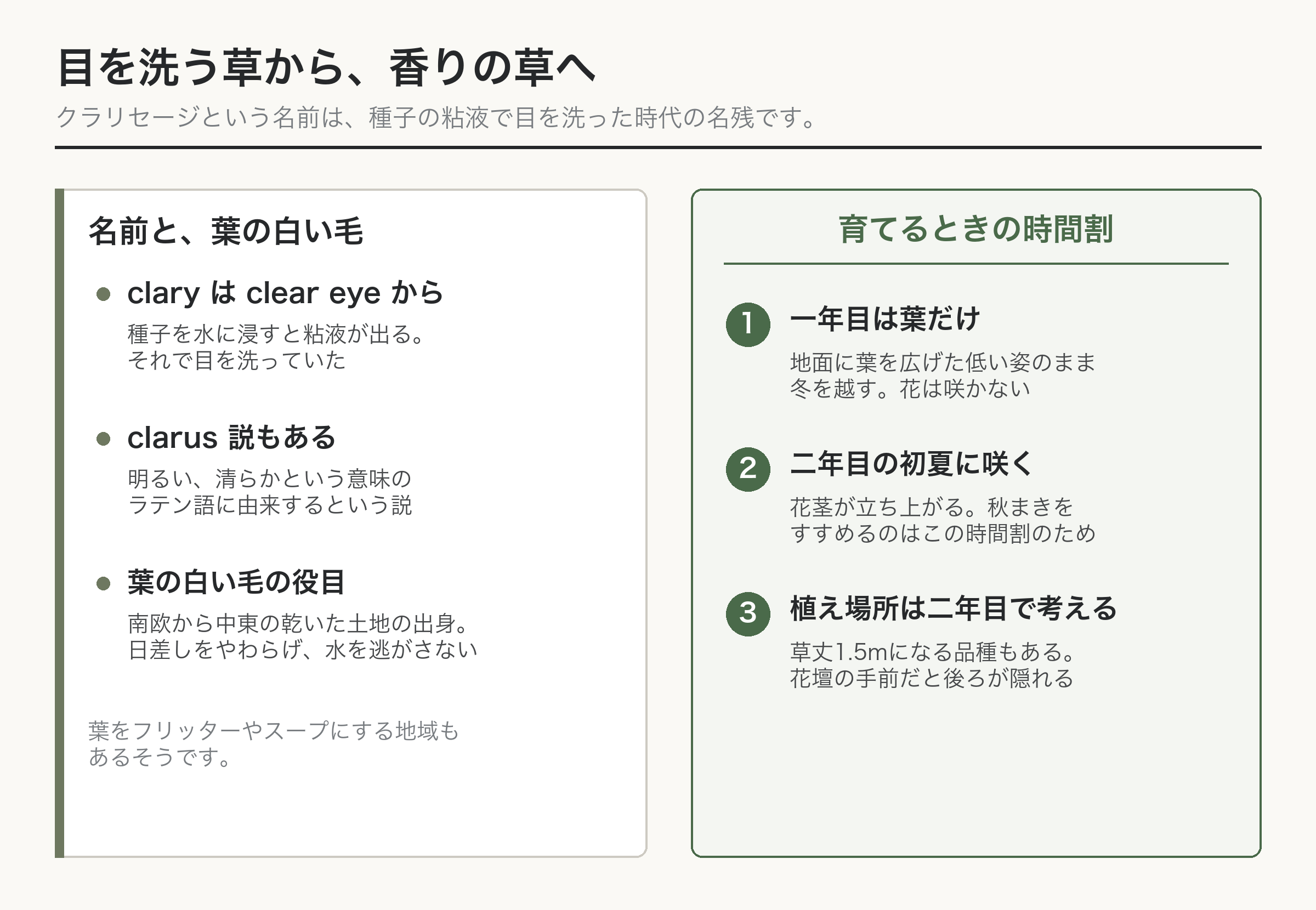 クラリセージ 名前の由来 二年草 育て方 図解
