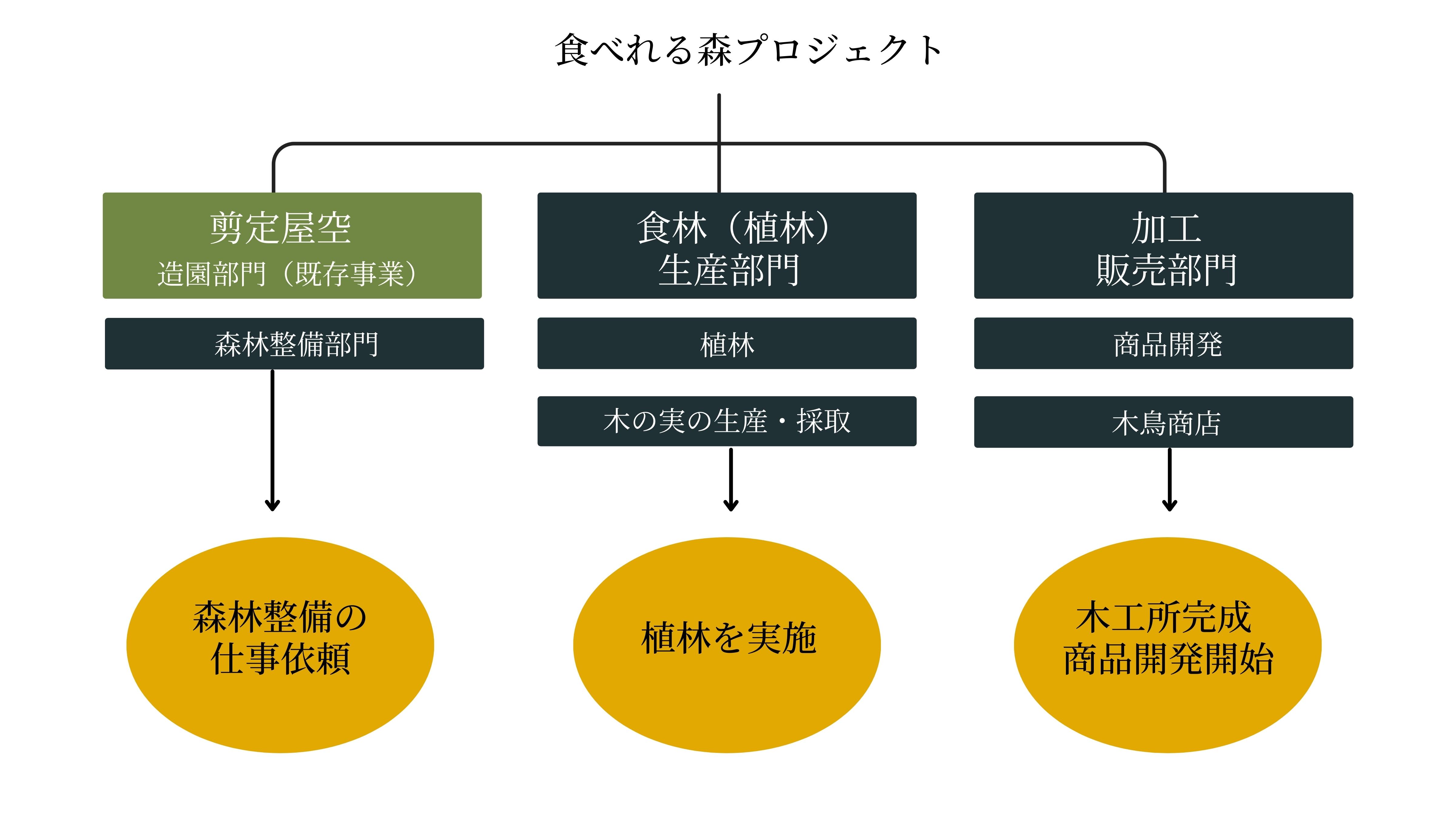 Sustainable mountain management through edible forest principles — Sentei-ya Sora