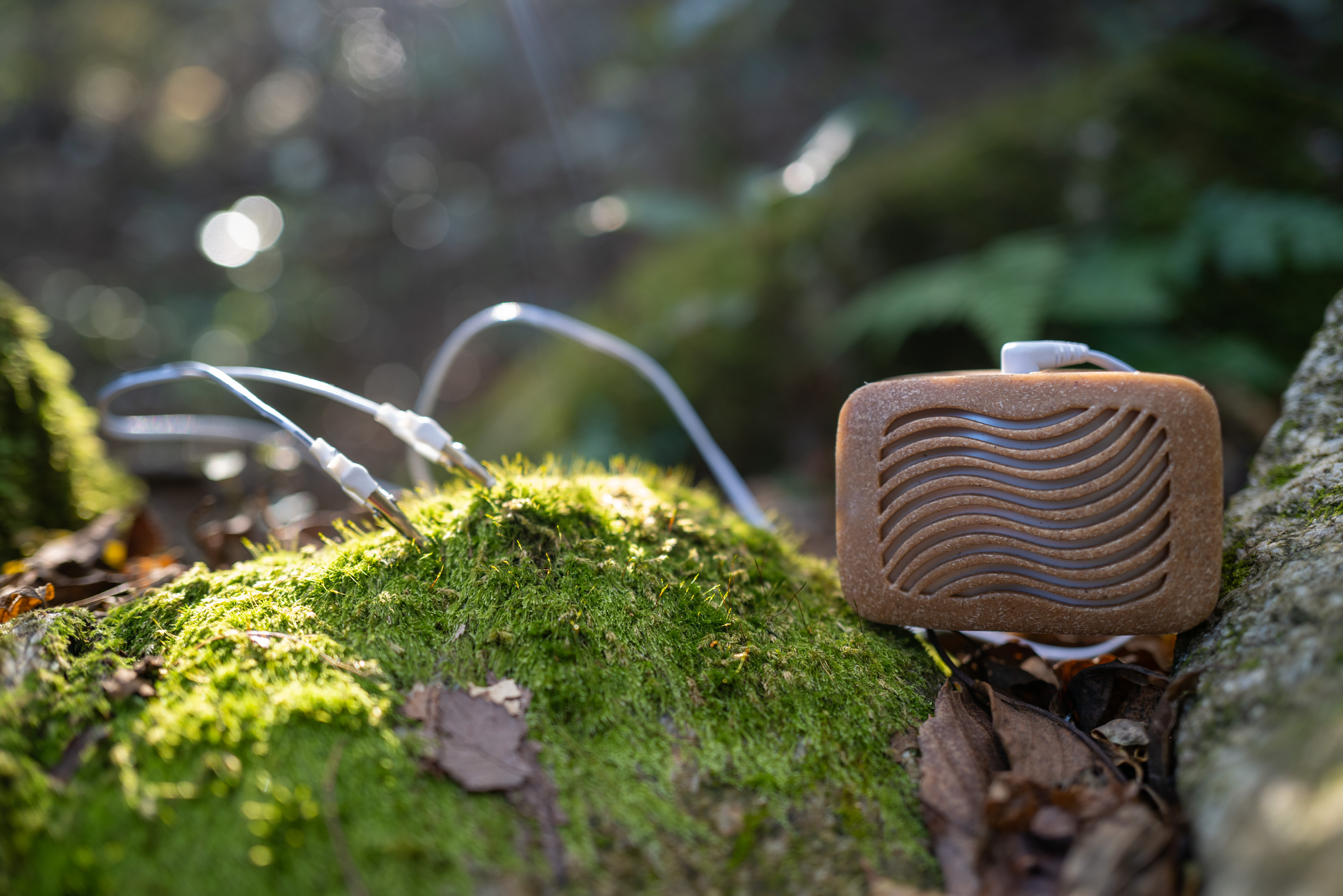 PlantWave and the New Harmony of the Natural World
