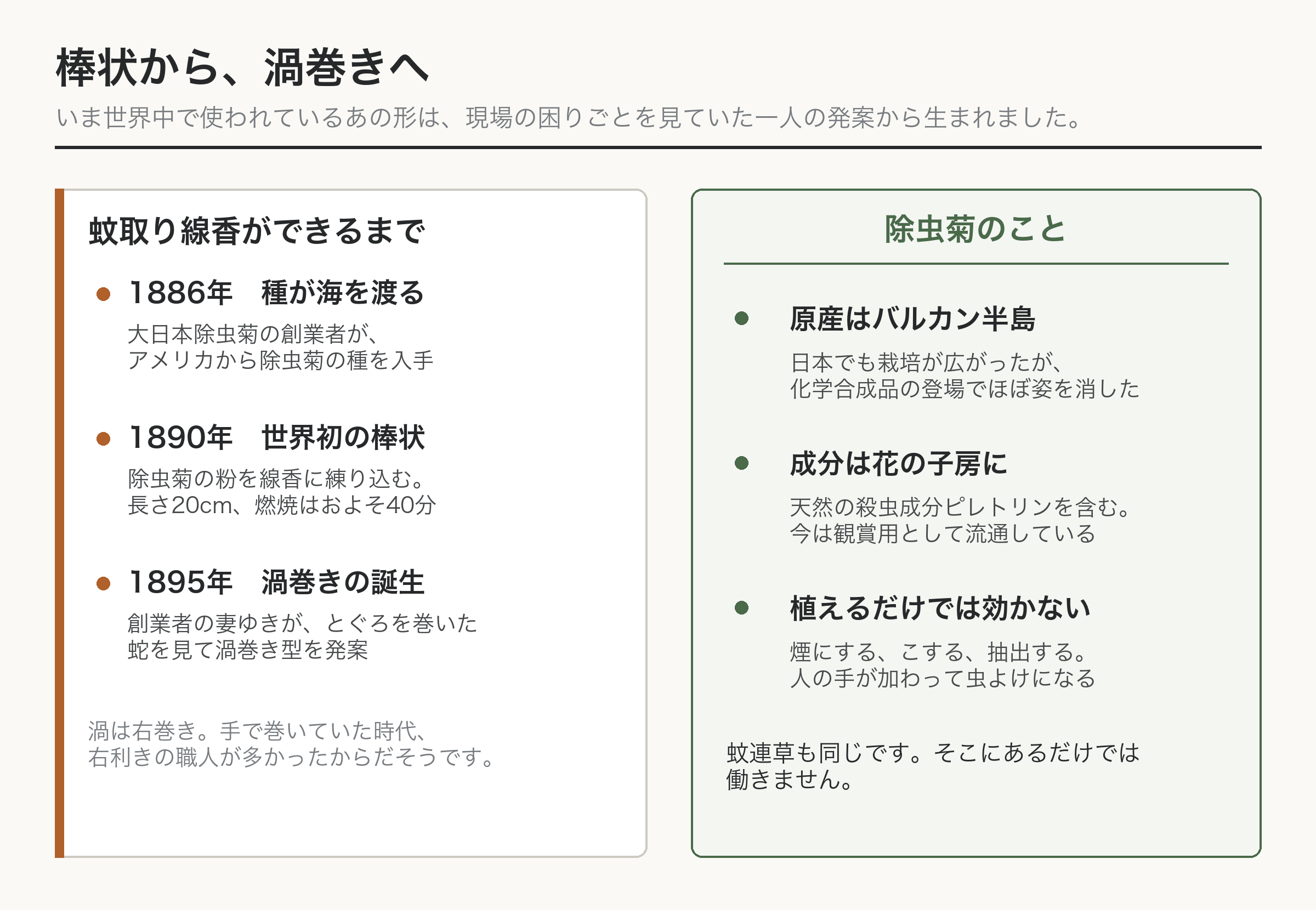 蚊取り線香 渦巻き 除虫菊 歴史 図解