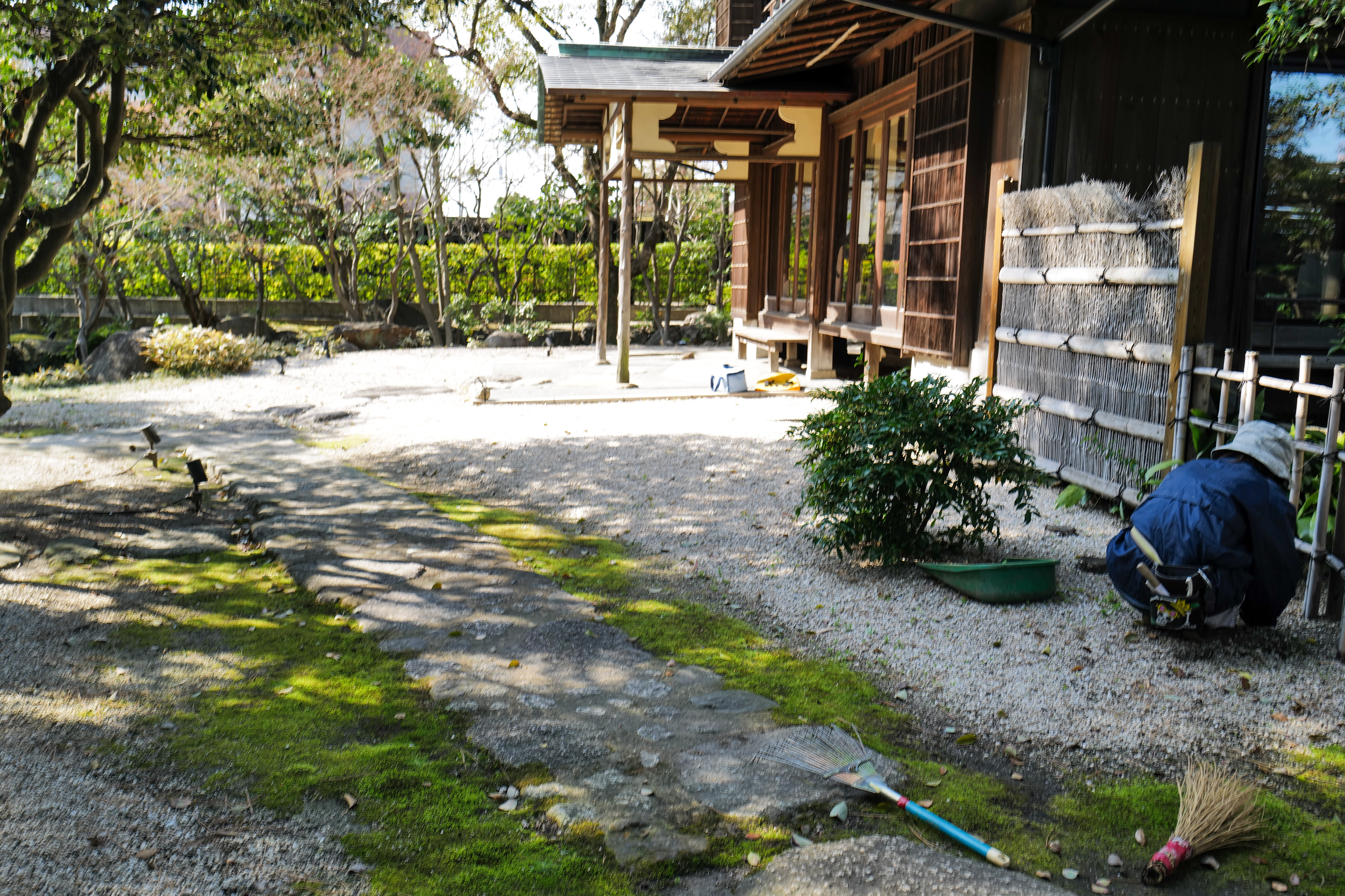 苔庭・手取り除草