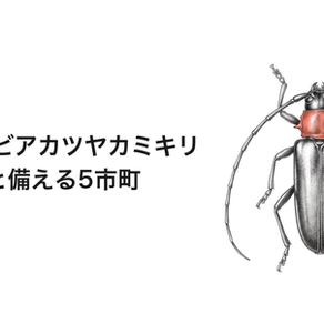 三重県のクビアカツヤカミキリ|被害9市町と備える5市町。庭のサクラ・ウメの見方