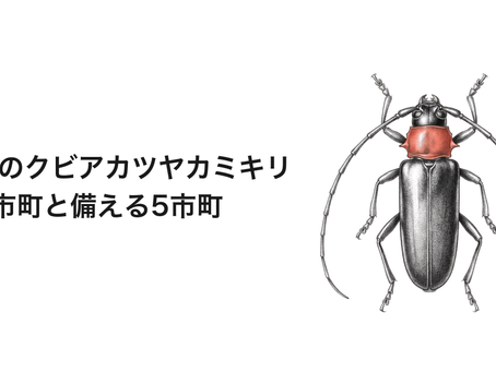 三重県のクビアカツヤカミキリ|被害9市町と備える5市町。庭のサクラ・ウメの見方
