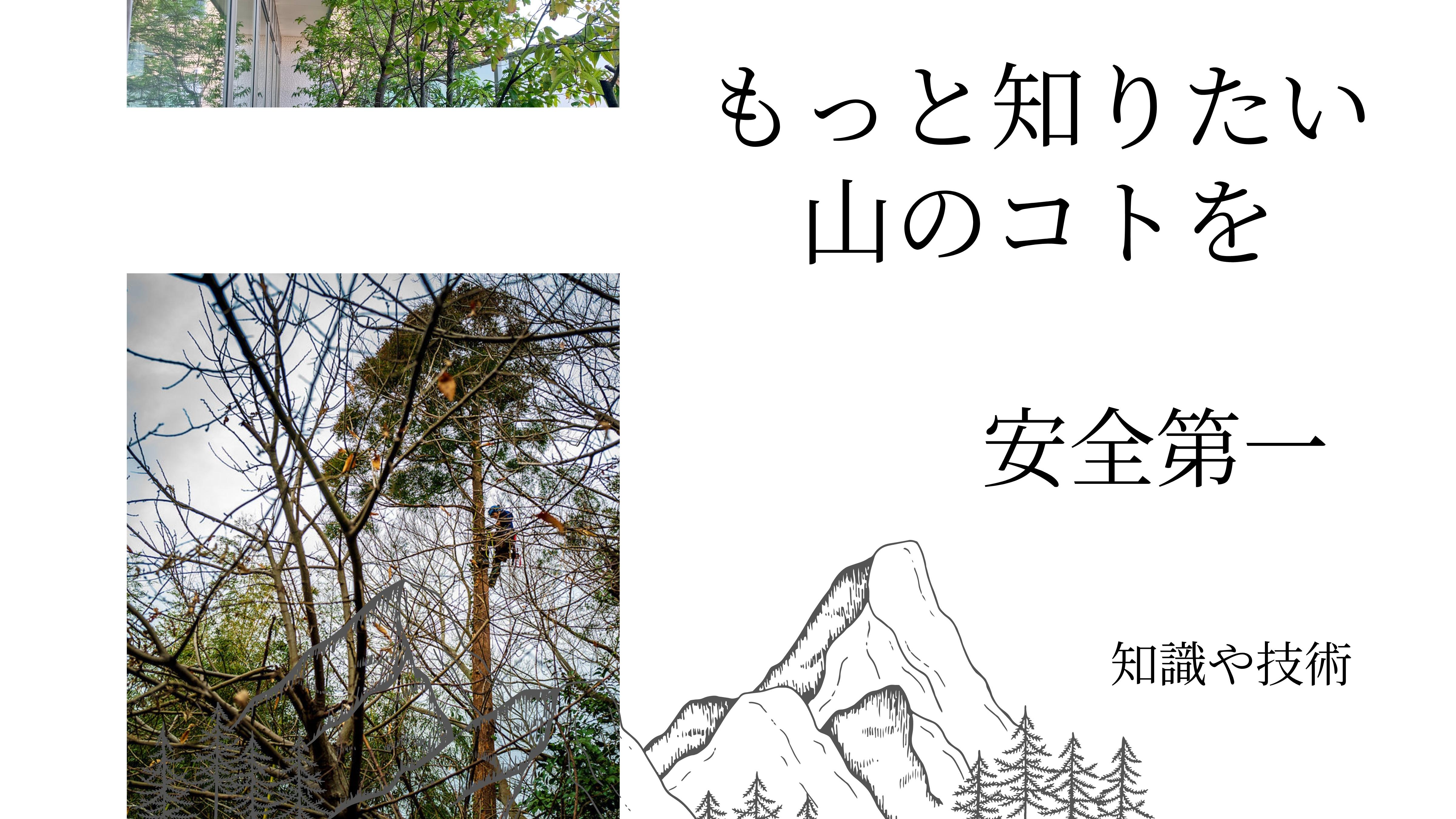 Wanting to know more: deepening forest and mountain knowledge — Sentei-ya Sora