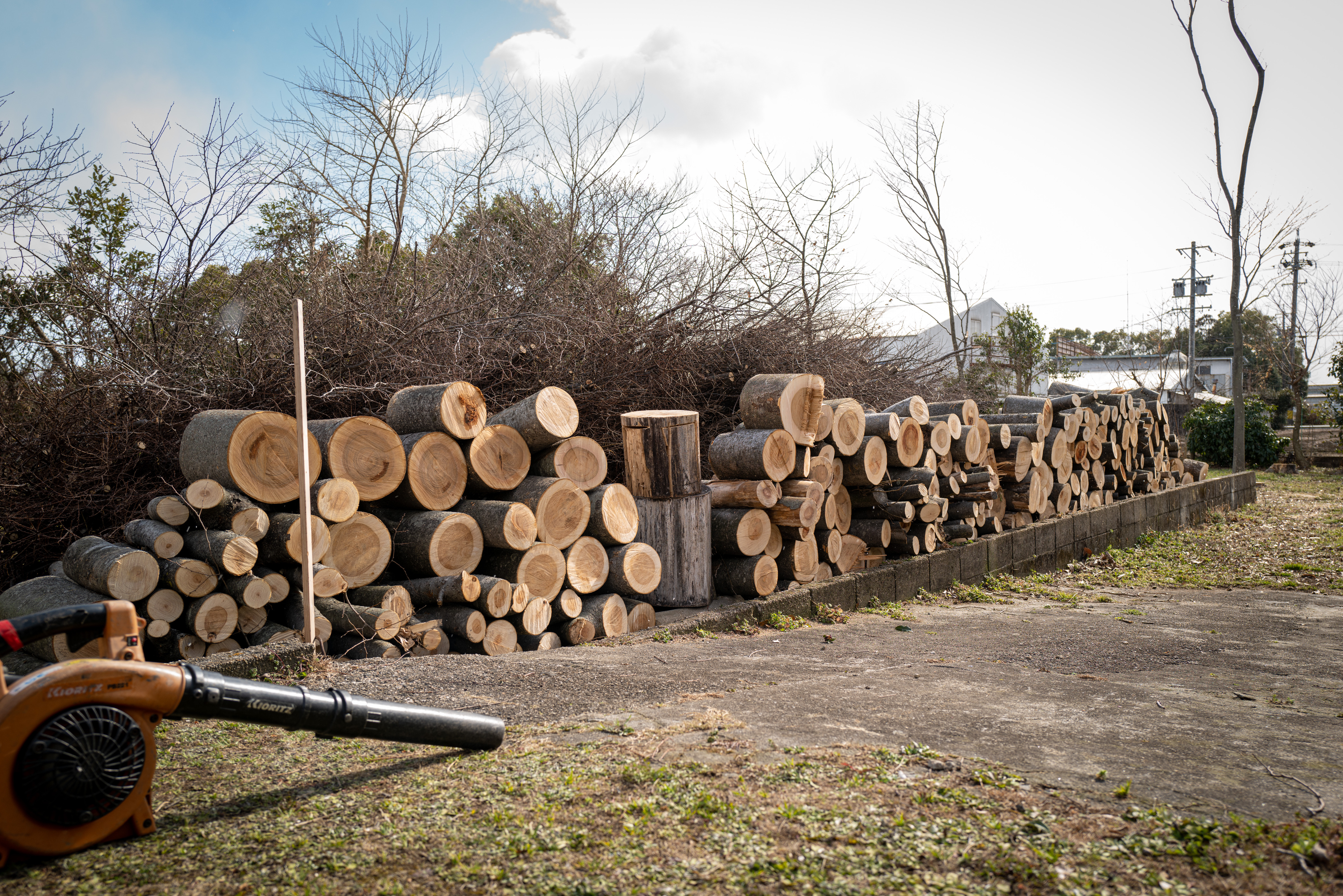 We have been cutting down a few zelkova trees every year, and this time we were able to cut down all the zelkova trees.