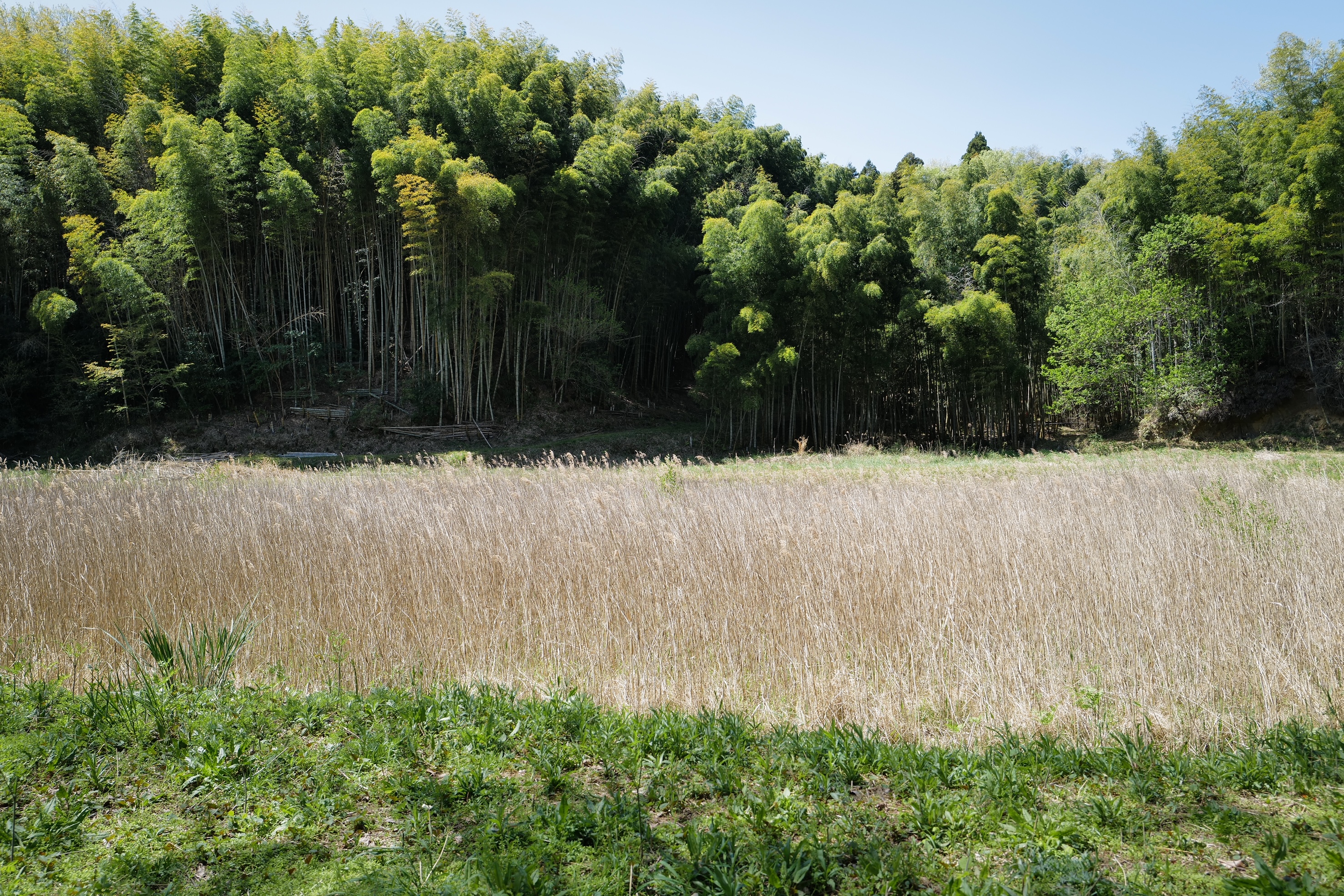 三重県 里山