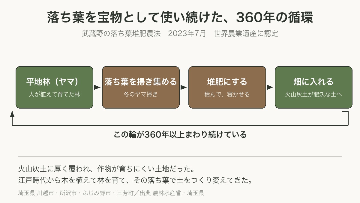 武蔵野の落ち葉堆肥農法 360年の循環の図解 世界農業遺産
