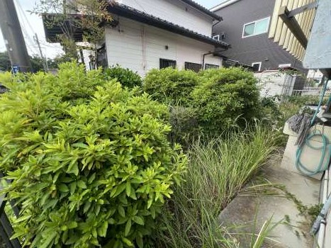 四日市の剪定(3枚目)