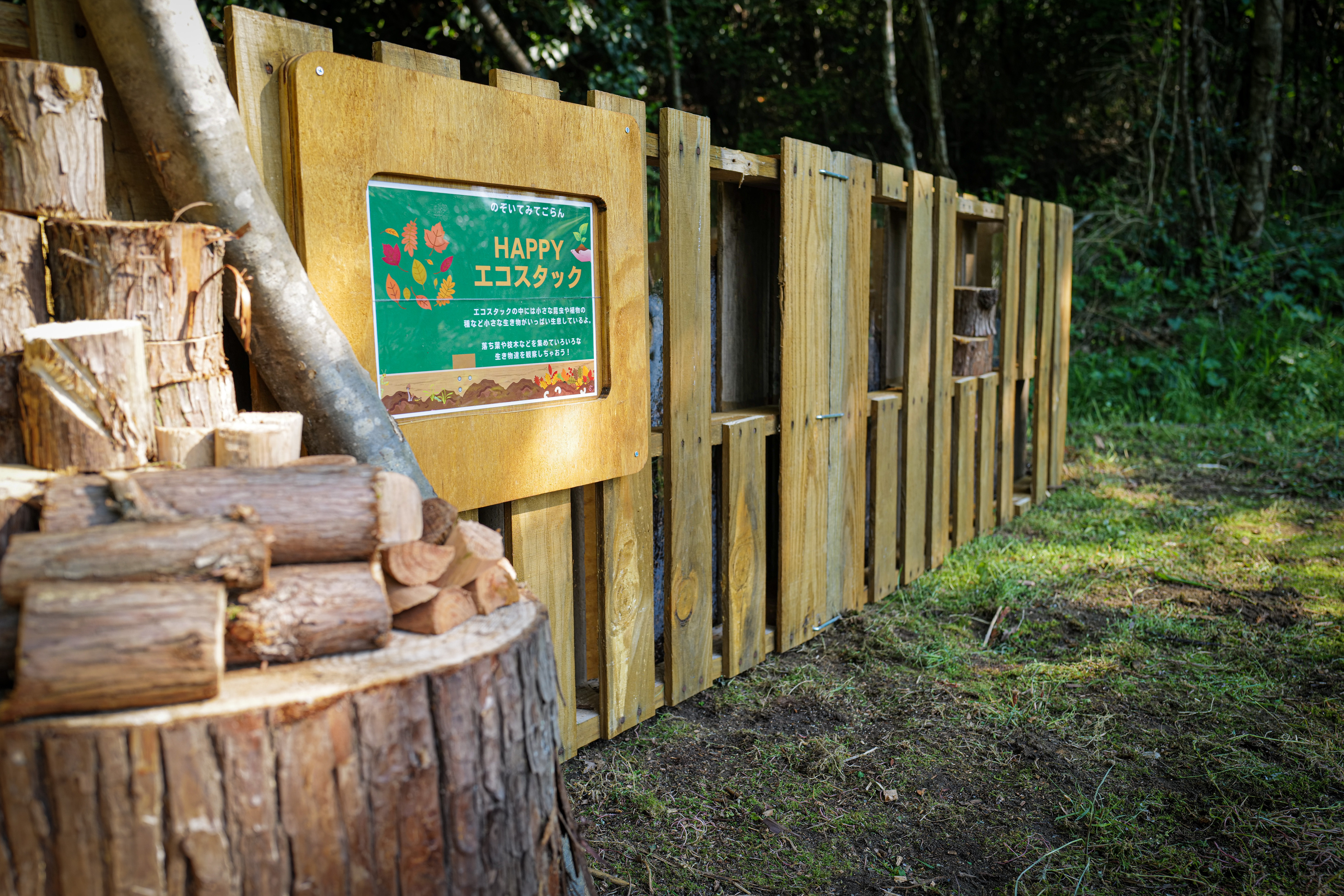 Completed eco-stack in school garden — Sentei-ya Sora, Mie Prefecture