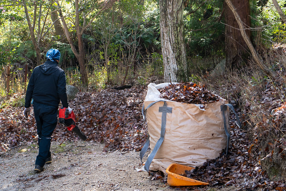 落ち葉活用