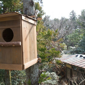 木鳥商店｜自然素材の販売・木工製品と環境教育資材