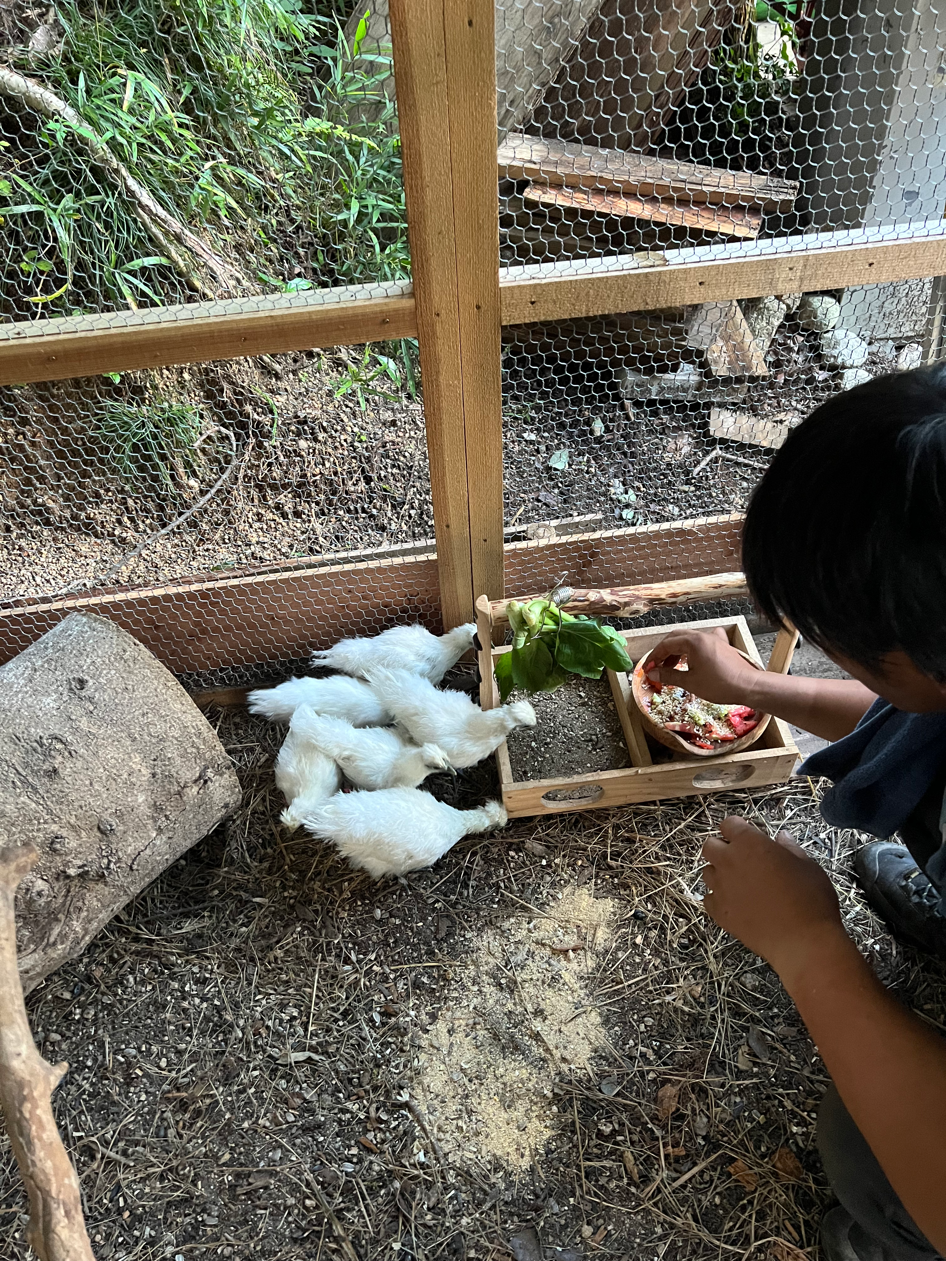 How to Make and Maintain Fermentation Beds — Sentei-ya Sora, Mie Prefecture