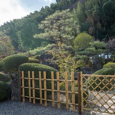 桑名市にて日本庭園のお庭定期管理