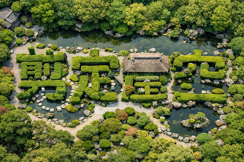 三重県剪定伐採お庭のお手入れ専門店剪定屋空