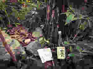 菰野町 伐採業者