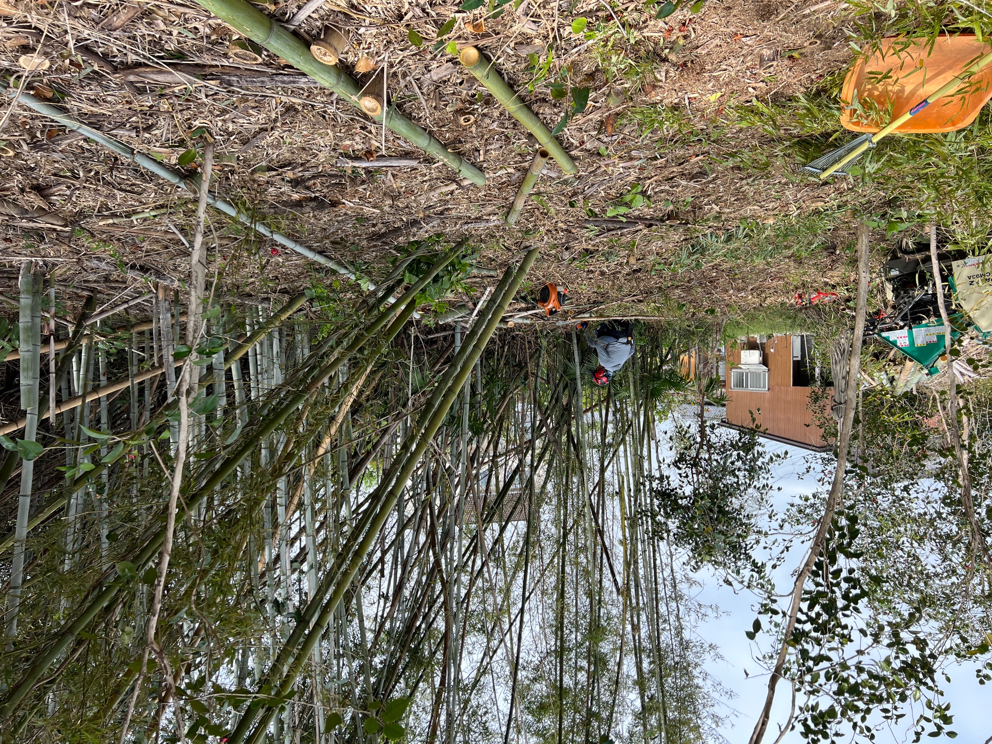 三重県鈴鹿市 淡竹 チッパー粉砕作業 剪定屋空