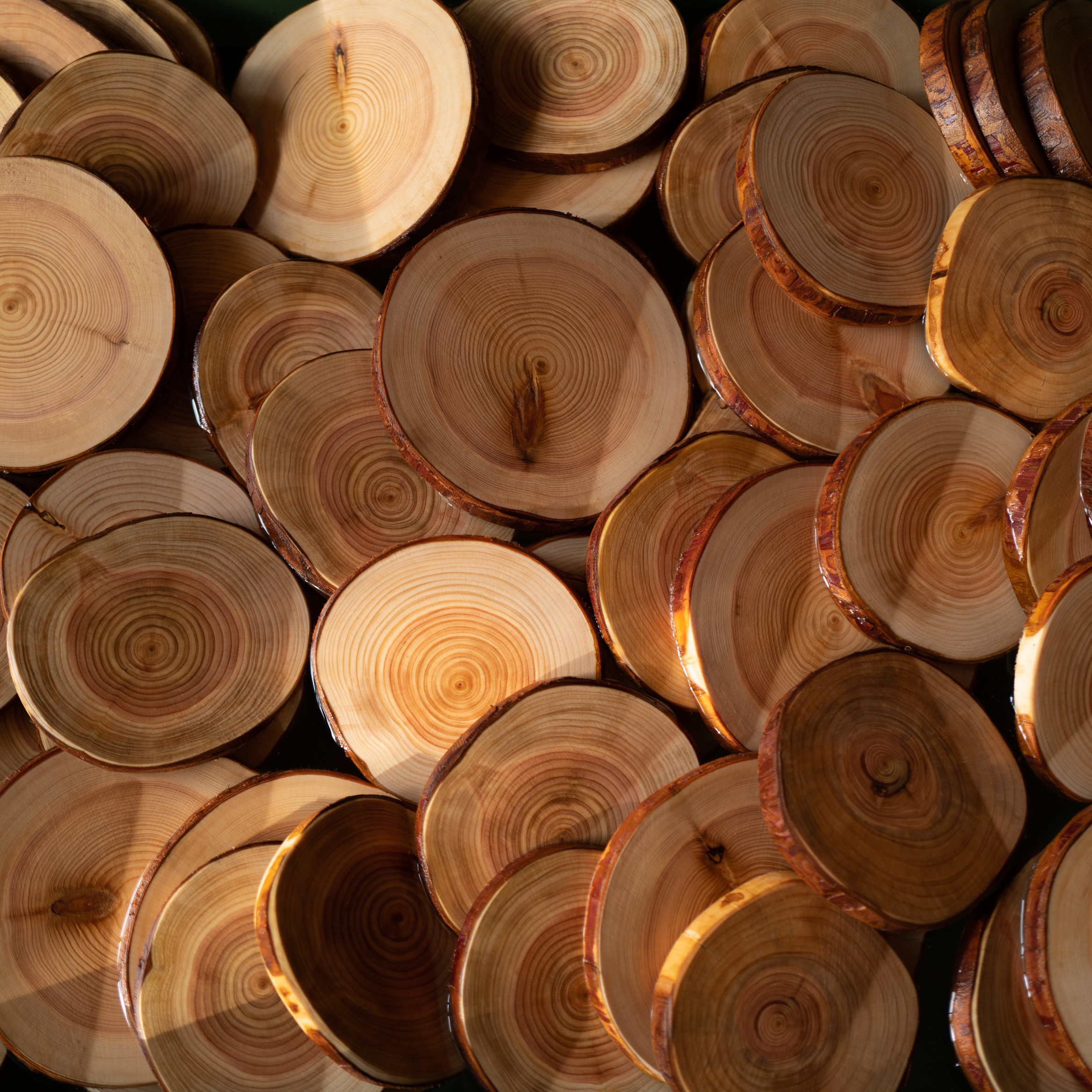 Drying Methods for Wood and Drying in Water