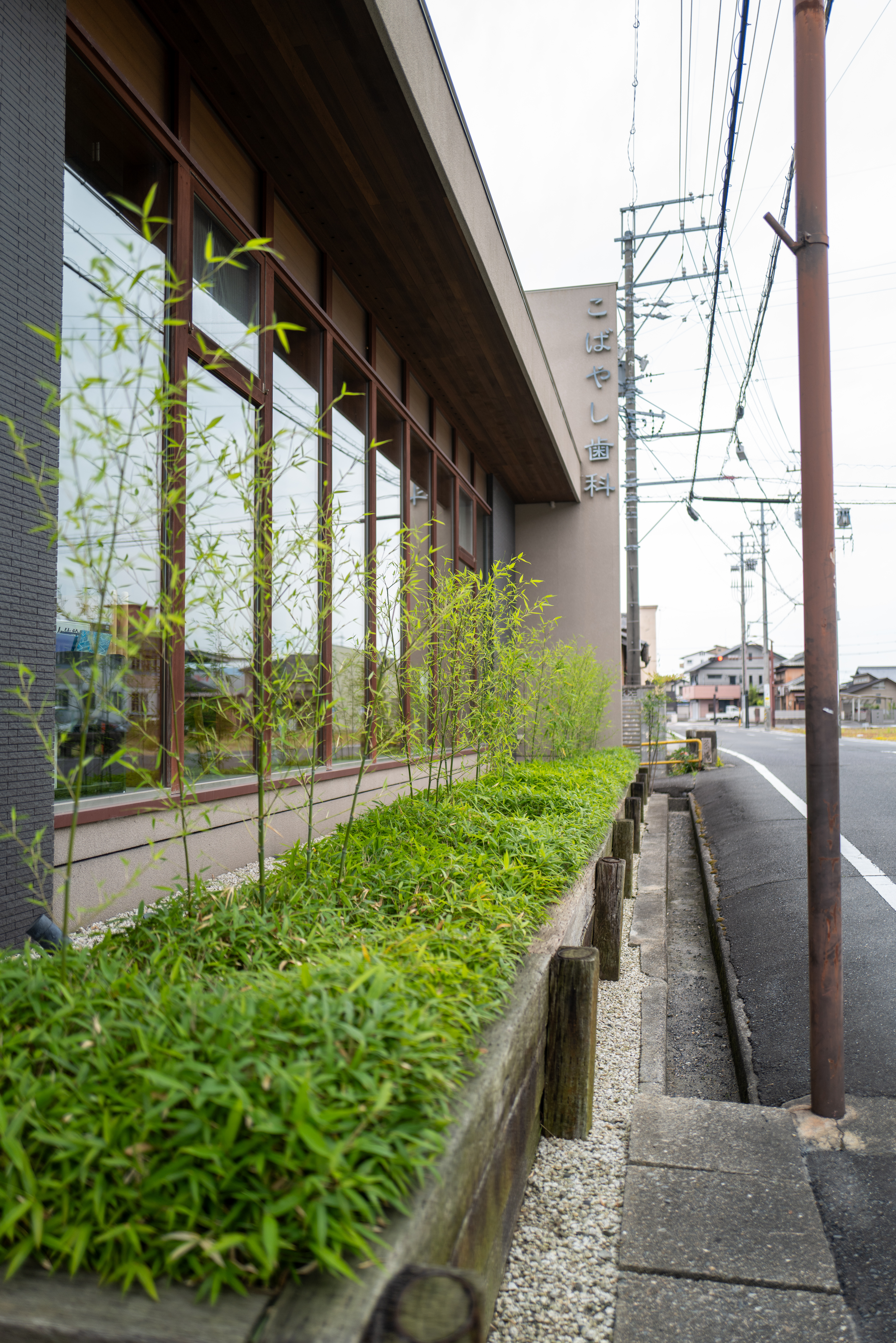 鈴鹿市歯科医院 入口緑地 手入れ後