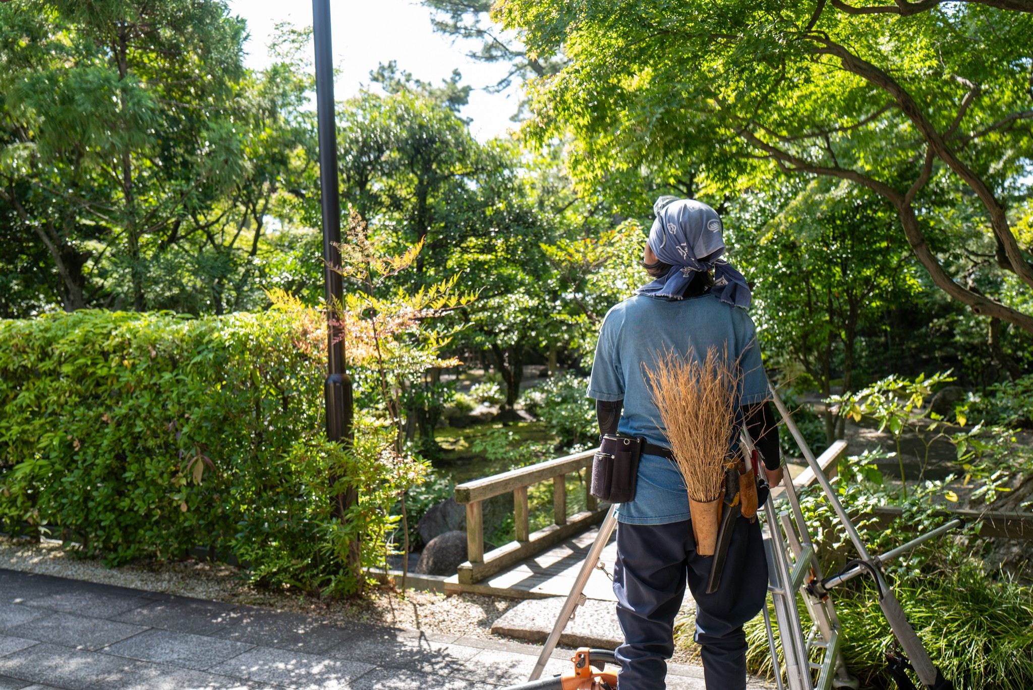 四日市・尾上別荘庭園の全景 剪定屋空の定期管理