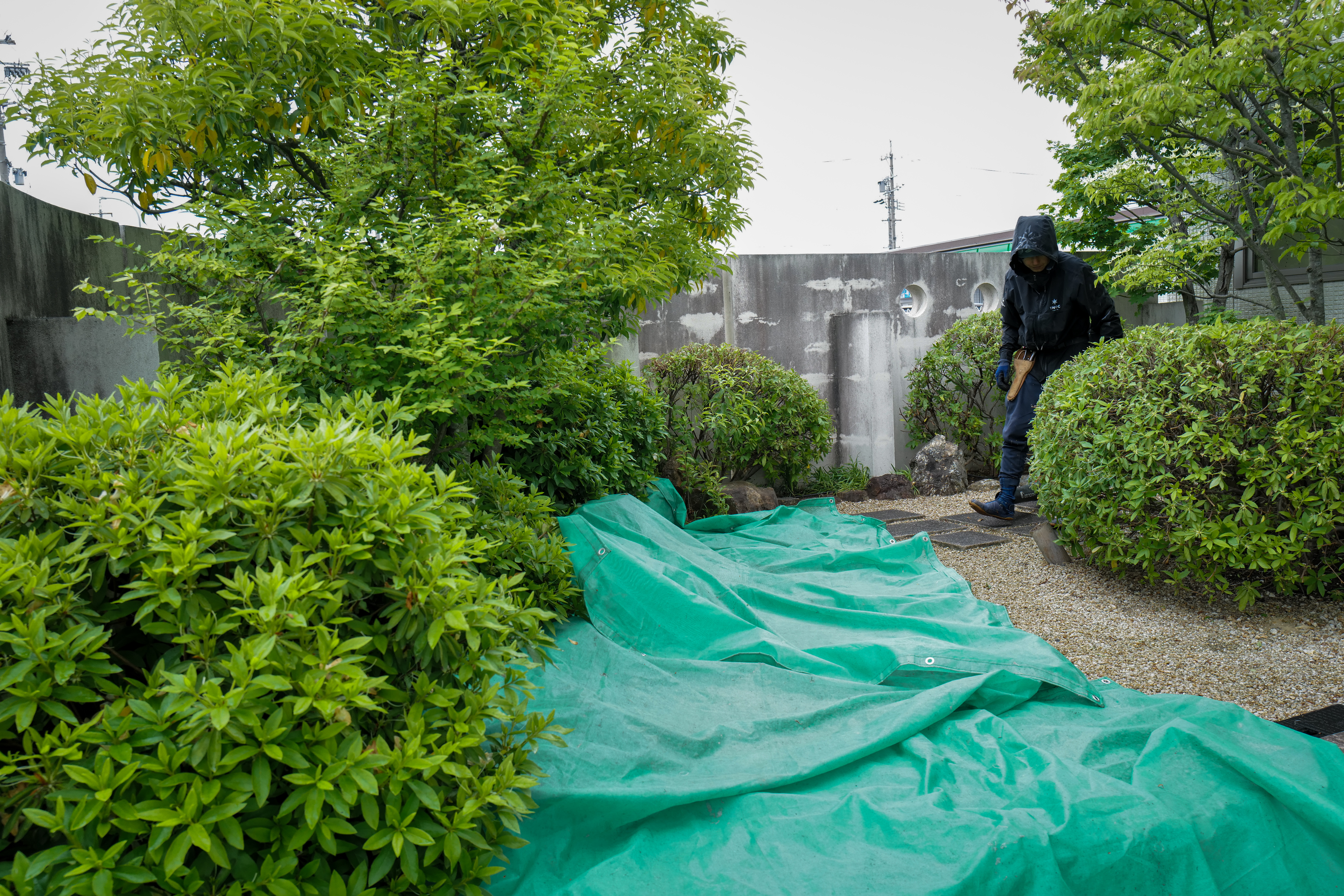 鈴鹿市 沖中内科 刈り込み 緑地管理 剪定屋空