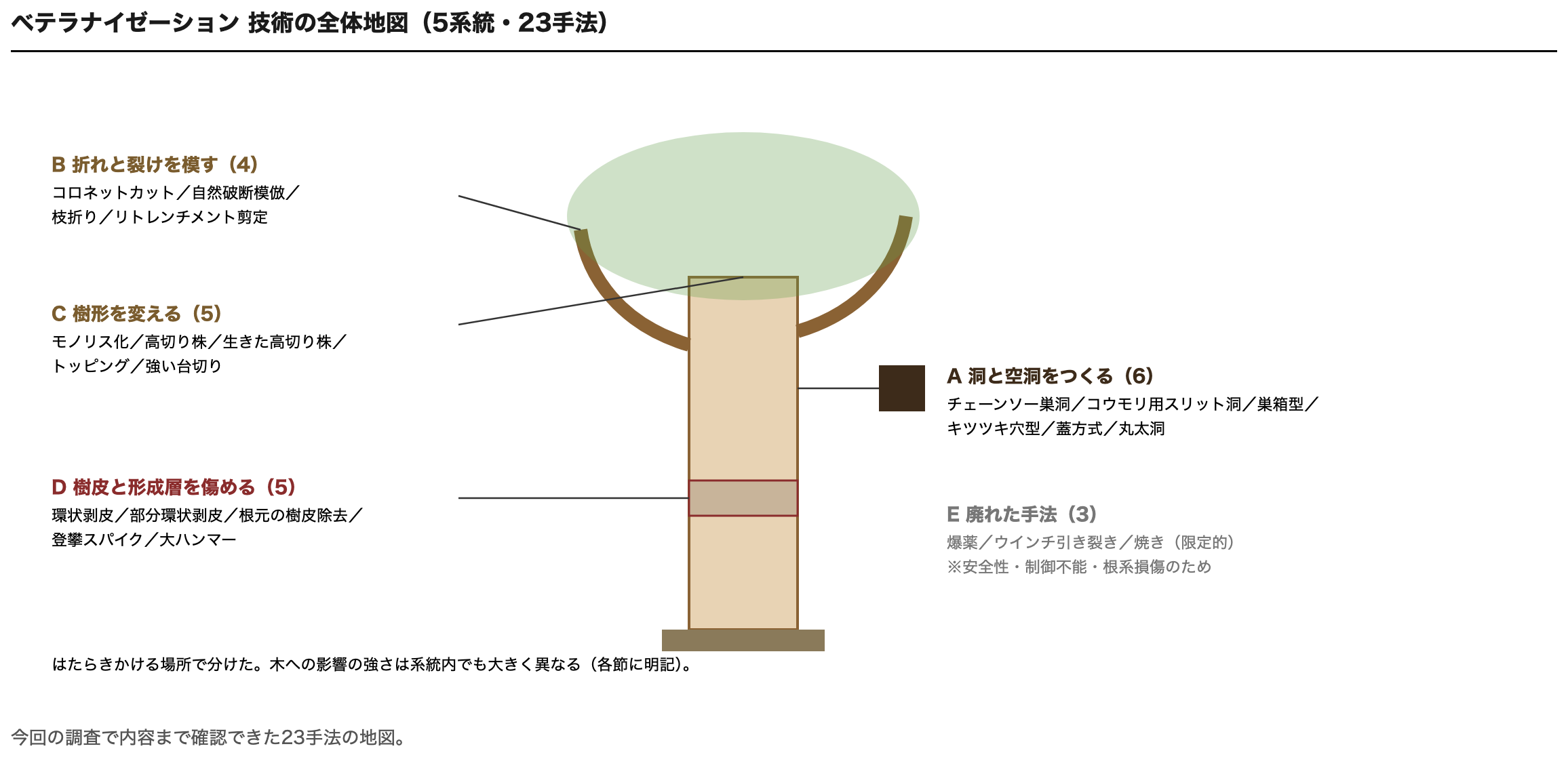 ベテラナイゼーション技術の全体地図