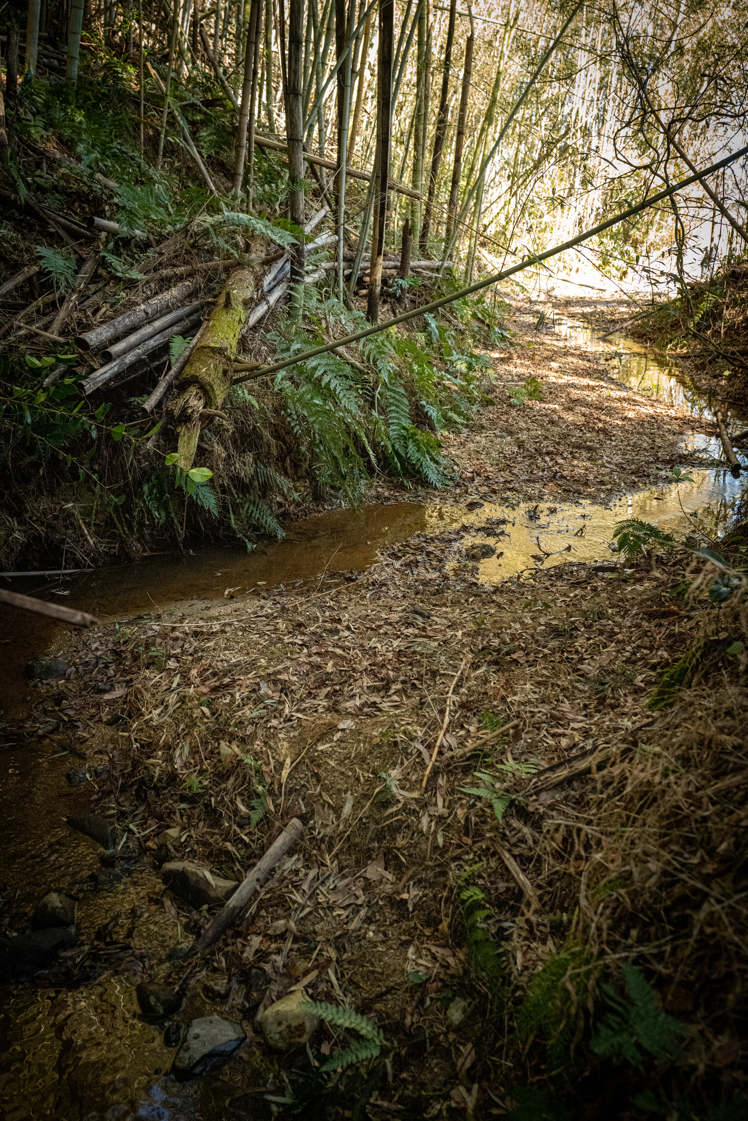 Stream channel restoration construction in Mie Prefecture — Sentei-ya Sora