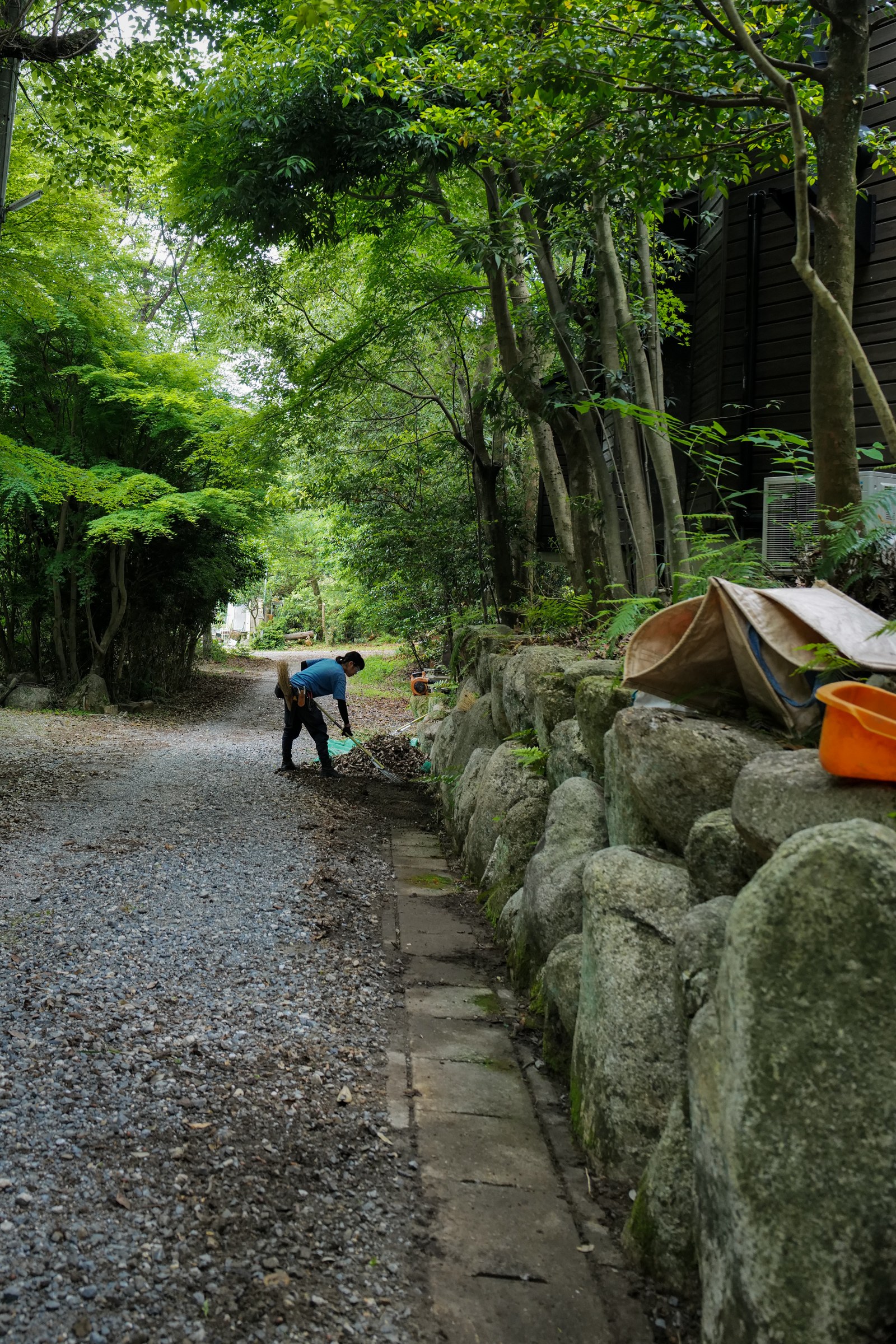石積み沿いの園路の手入れ 三重県菰野町の雑木の庭