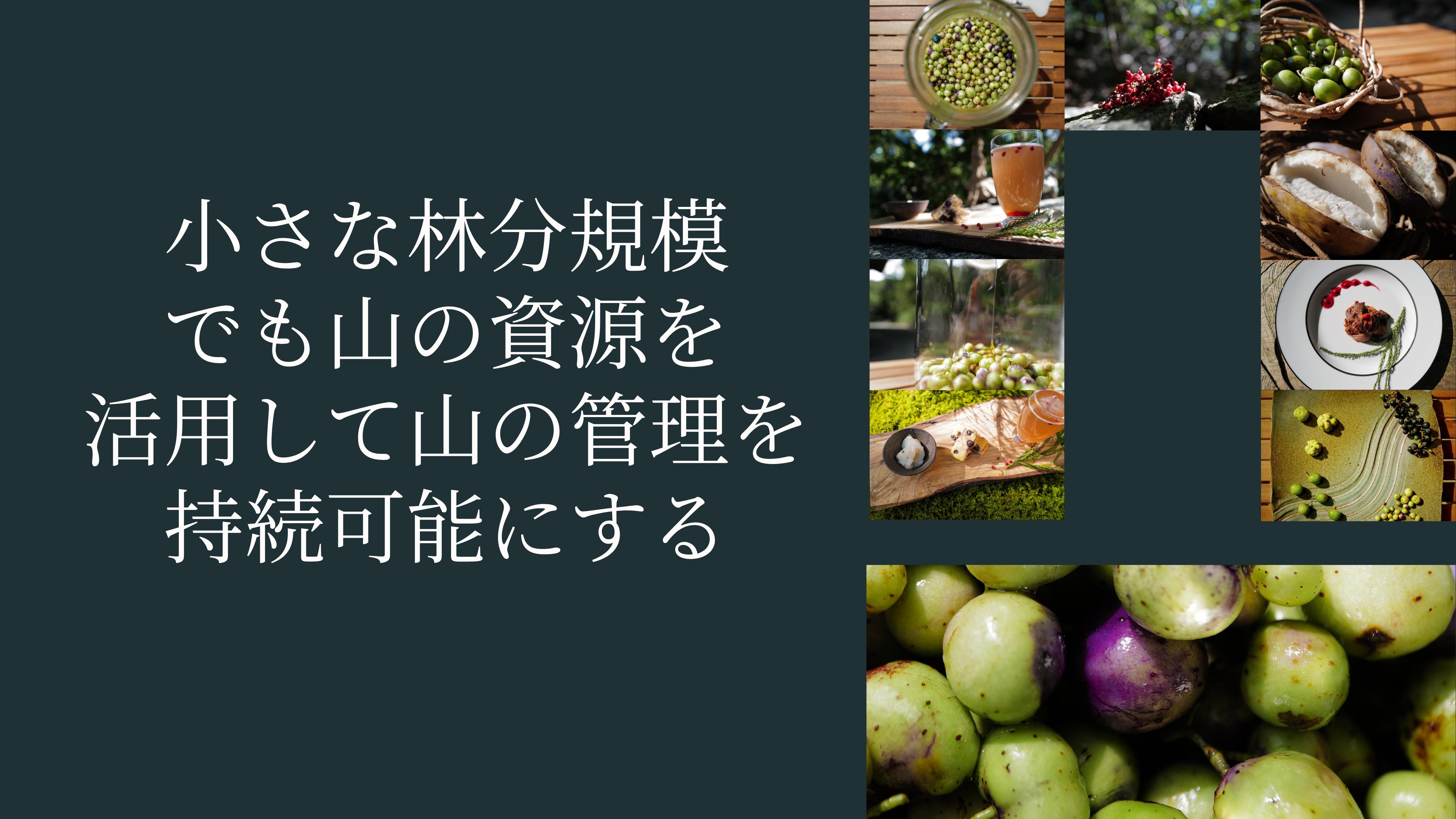 Small-scale forest management to make mountain stewardship sustainable — Sentei-ya Sora